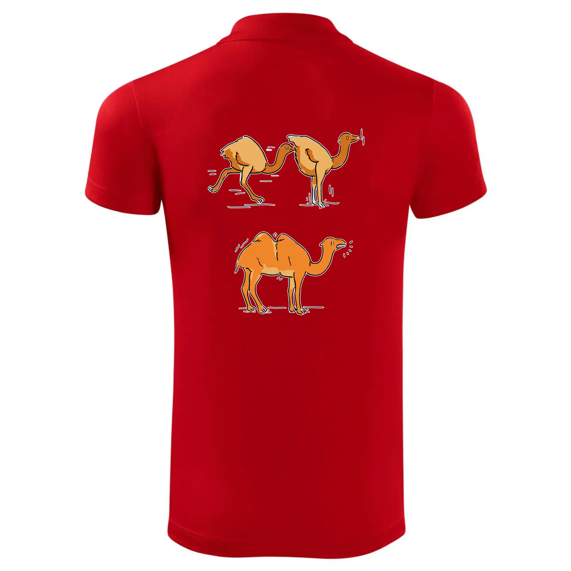 Pravda o velbloudech