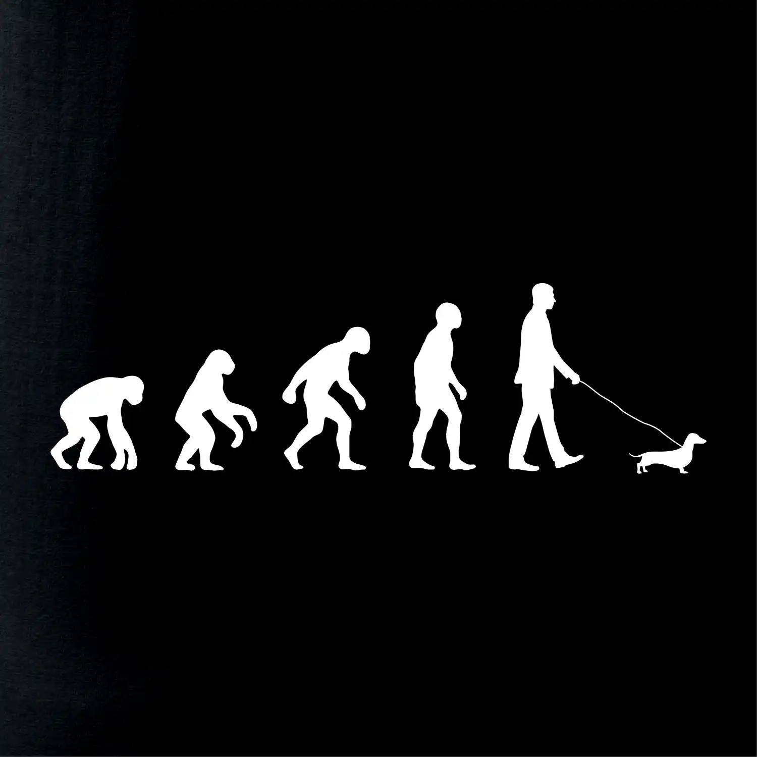 Jezevčík Evoluce muž / žena