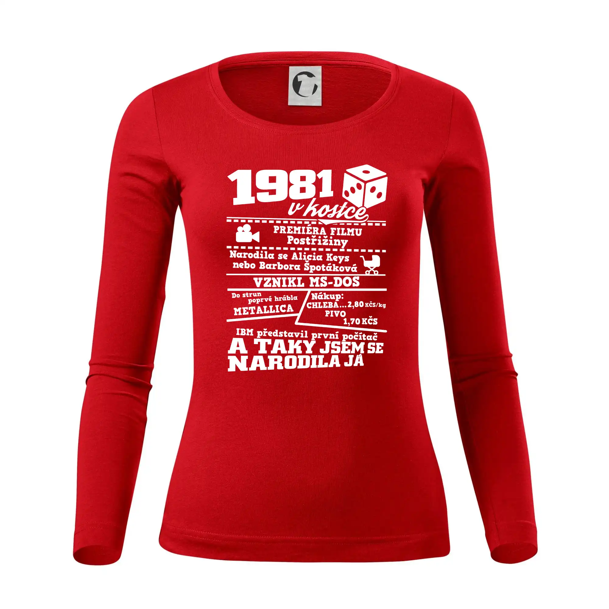 1981 v kostce