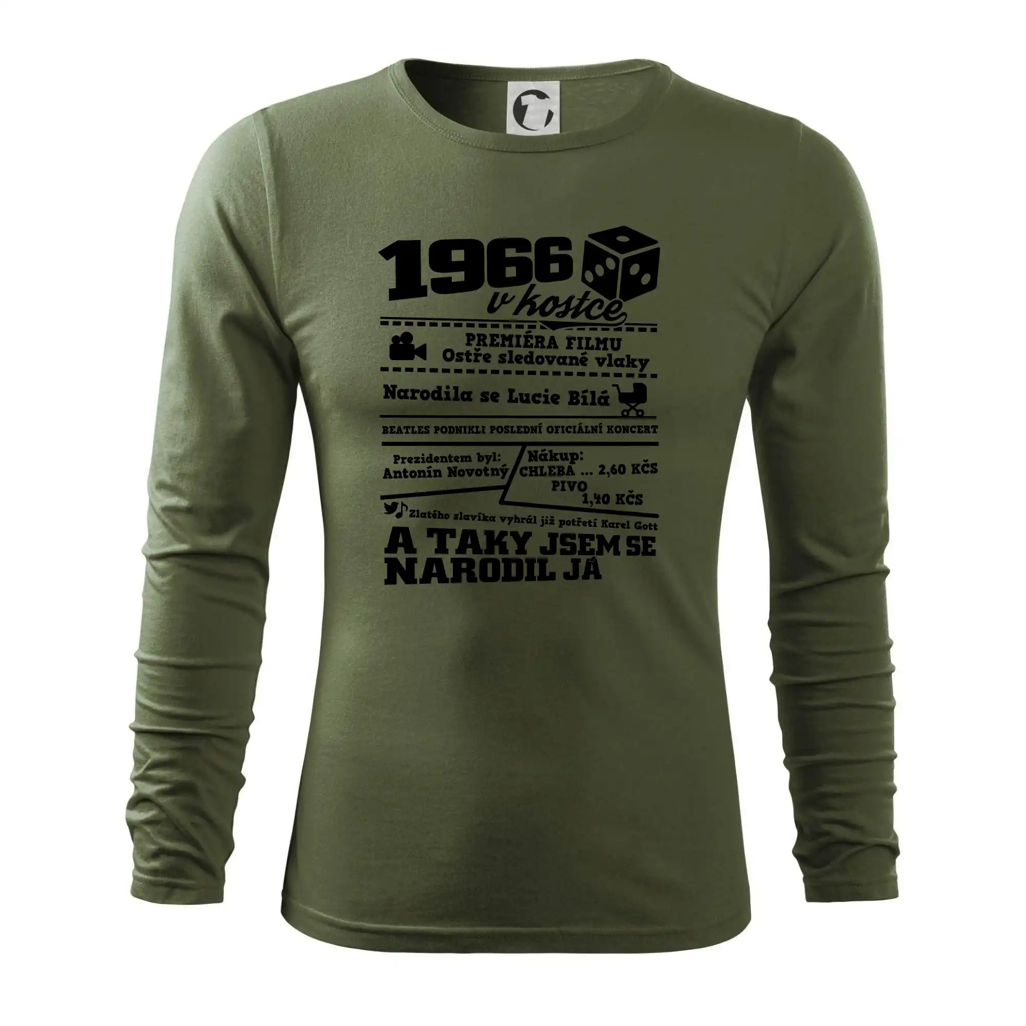 1966 v kostce