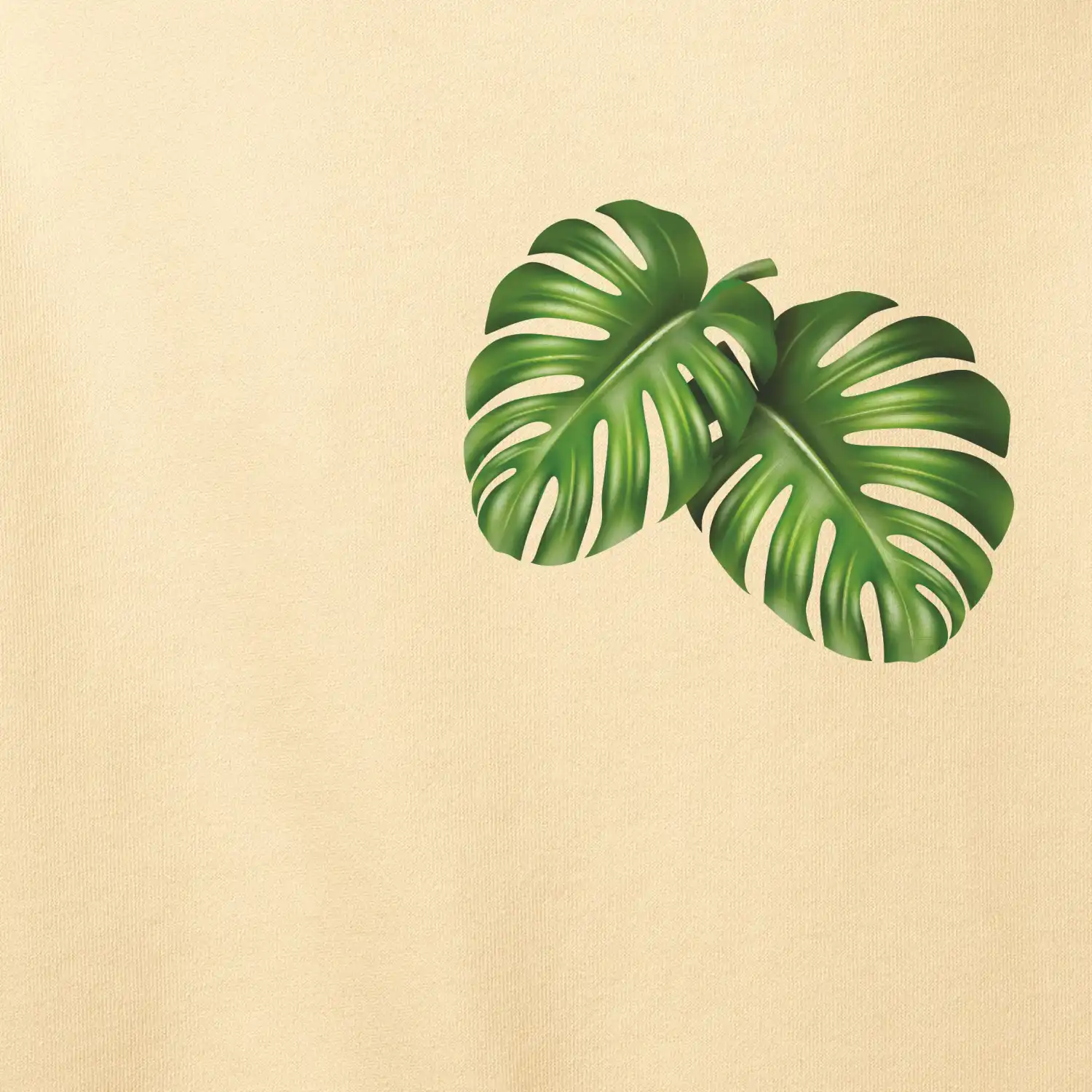 Monstera listy na prsu