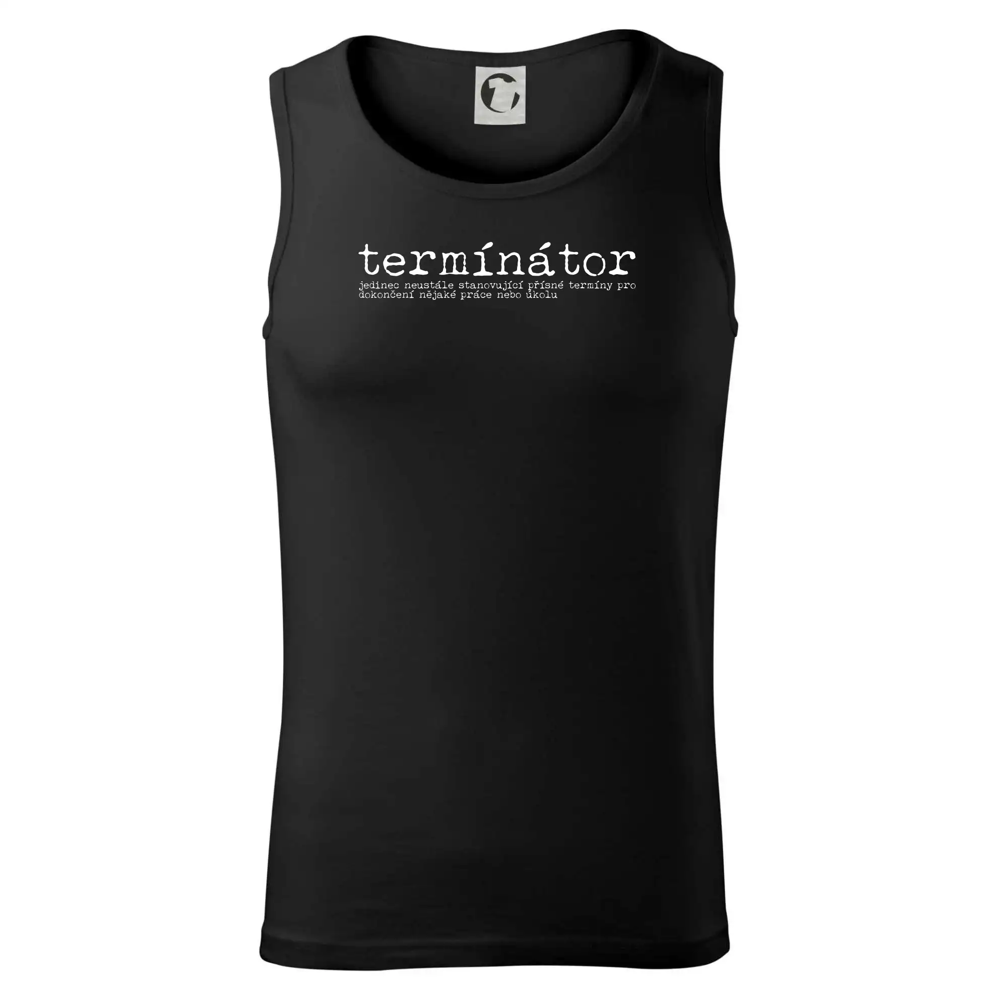 Čeština 2.0 - termínátor
