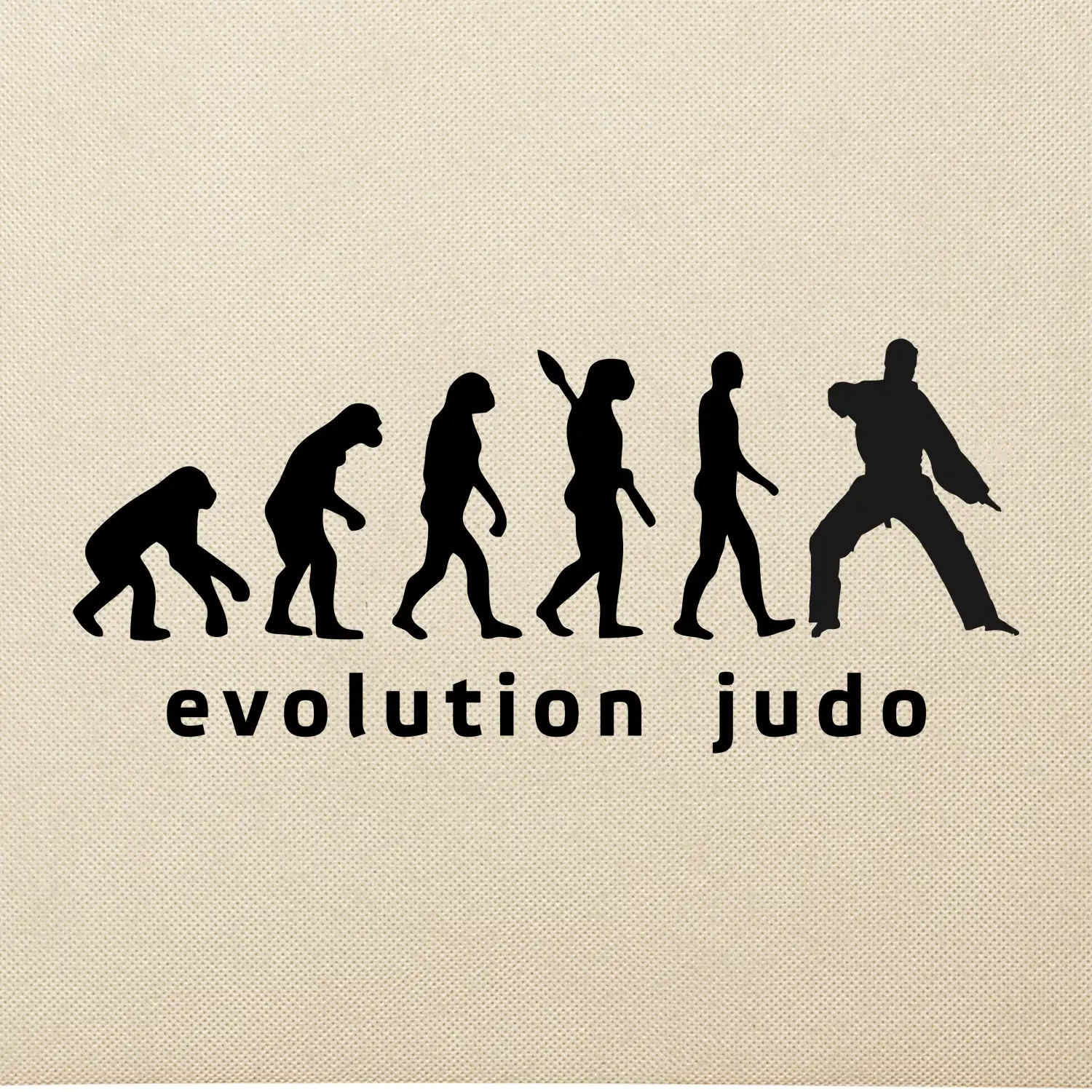 Judo evoluce - úder