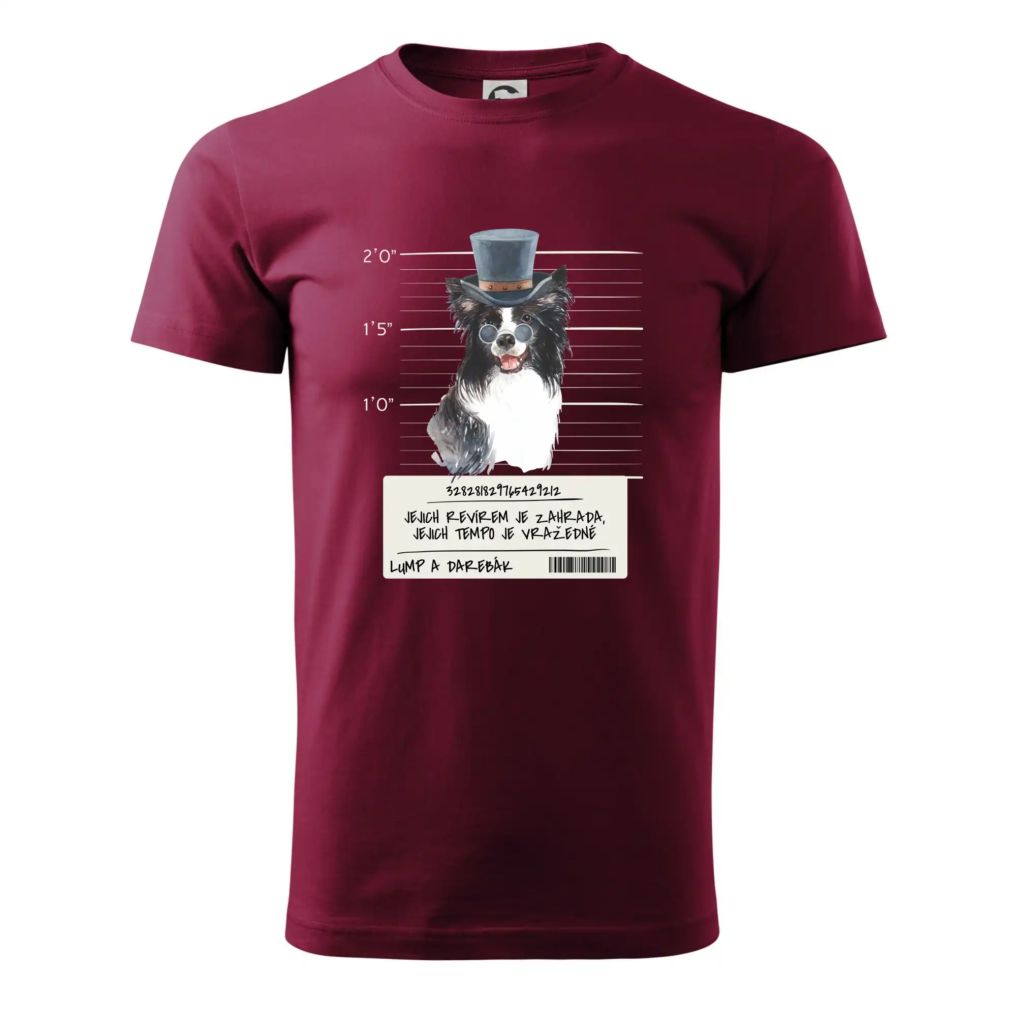 Lump a darebák border kolie