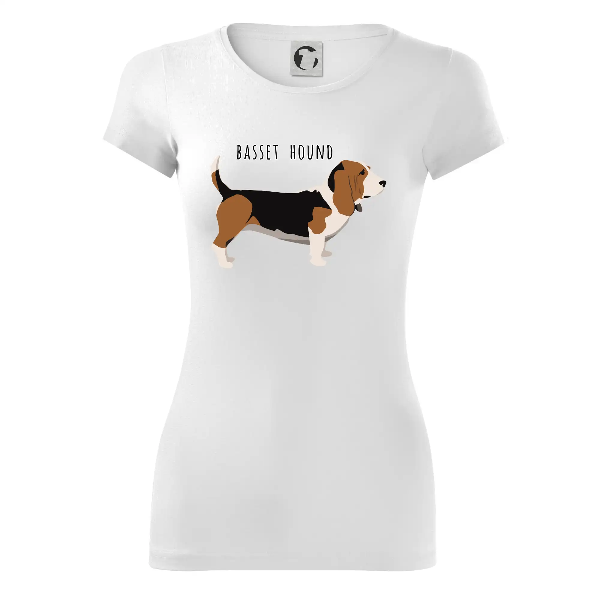 Basset hound pes s nápisem
