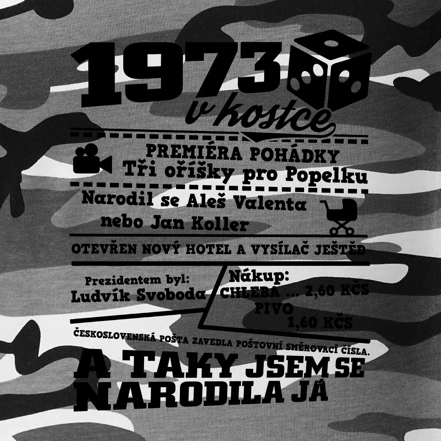 1973 v kostce