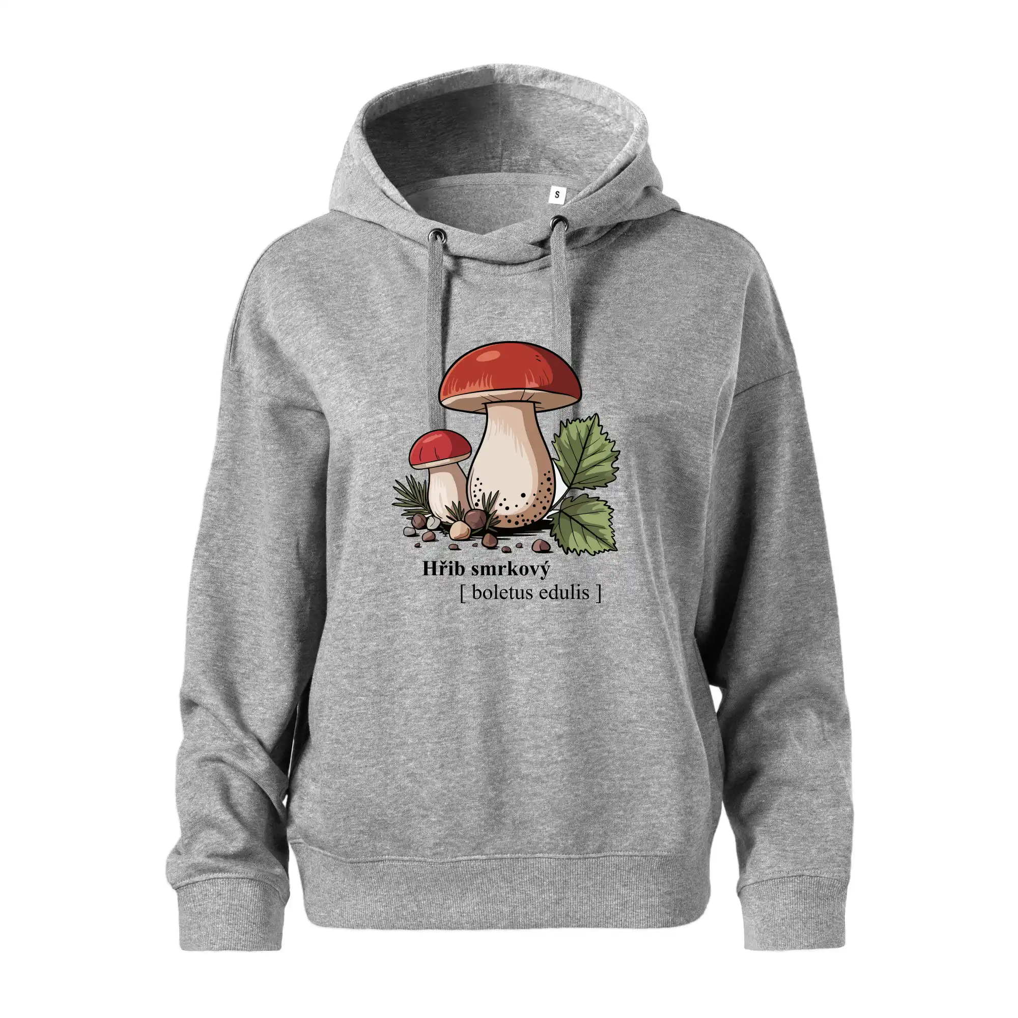 Hřib smrkový - Boletus edulis kreslený