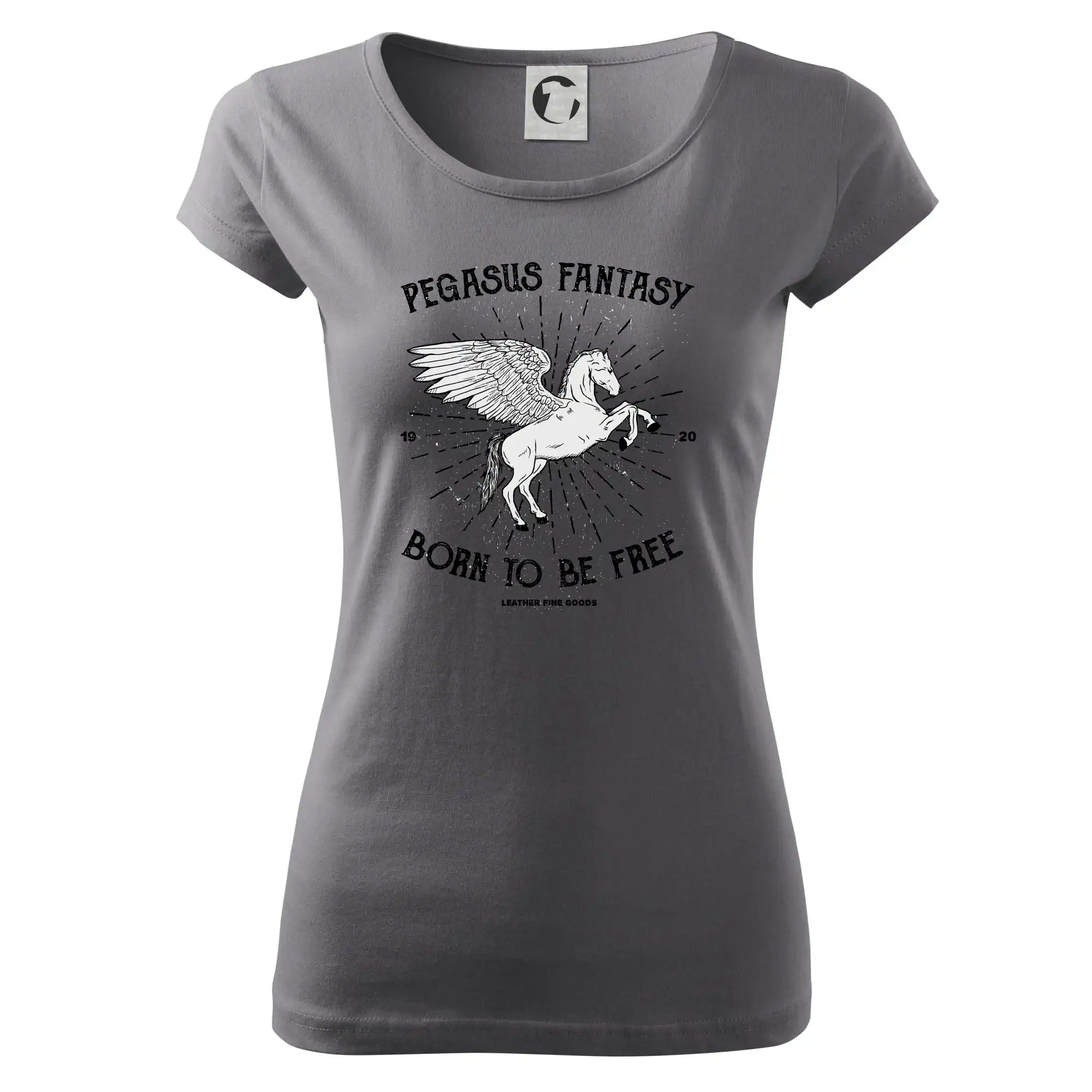 Pegasus fantasy