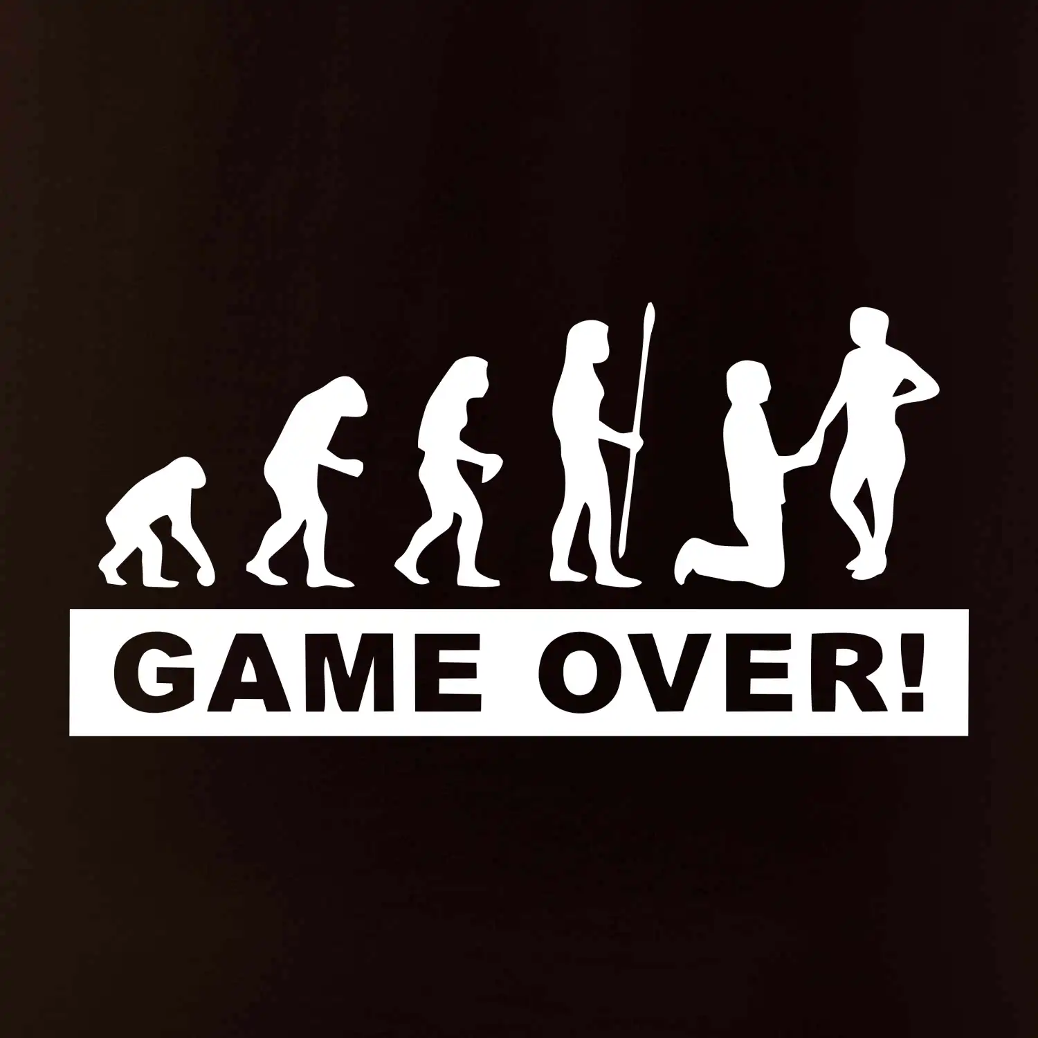 Game over evoluce