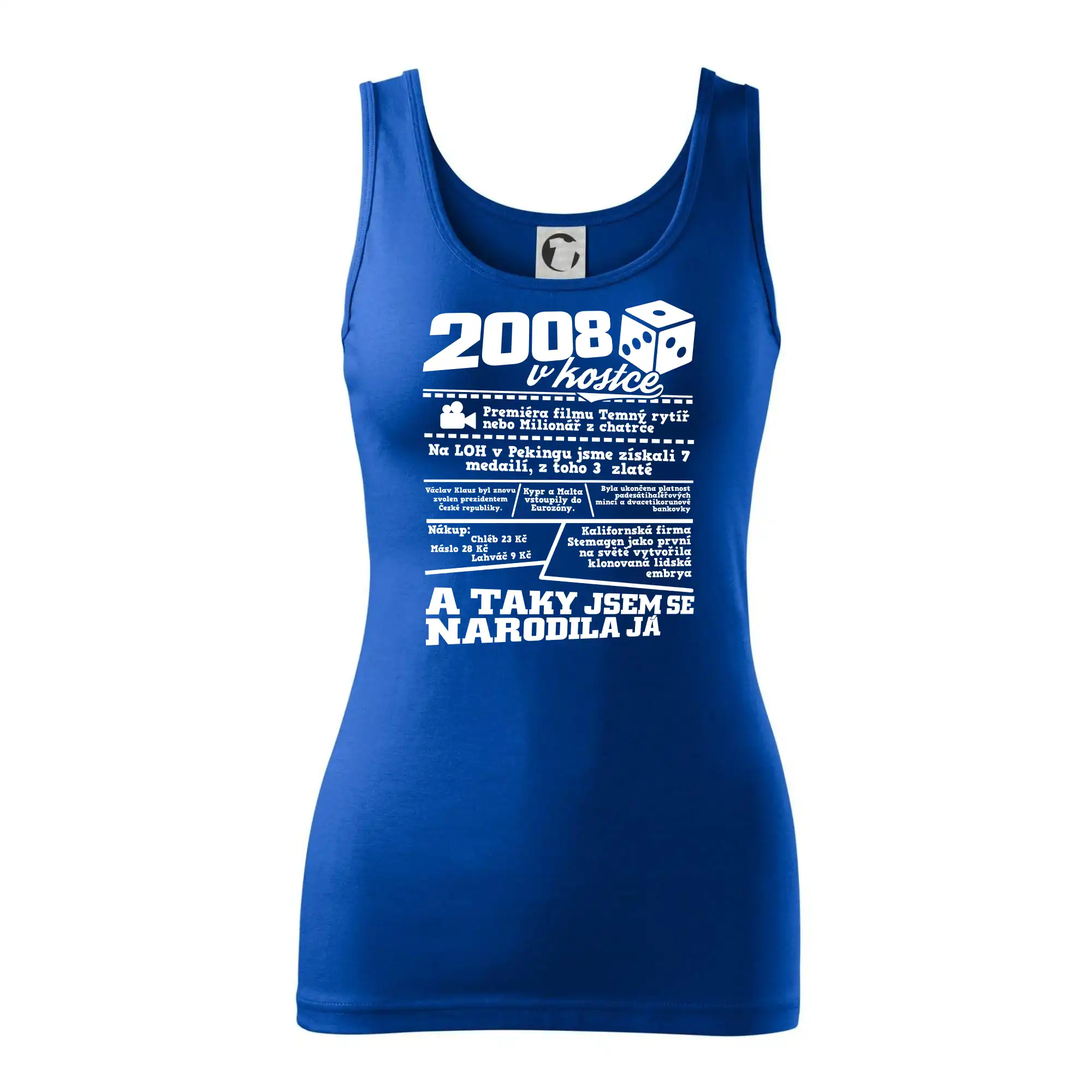 2008 v kostce