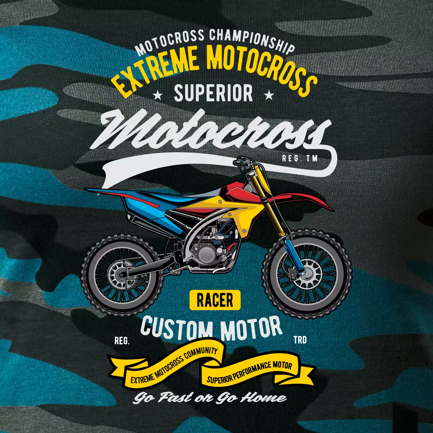 Motocross extreme custom motor