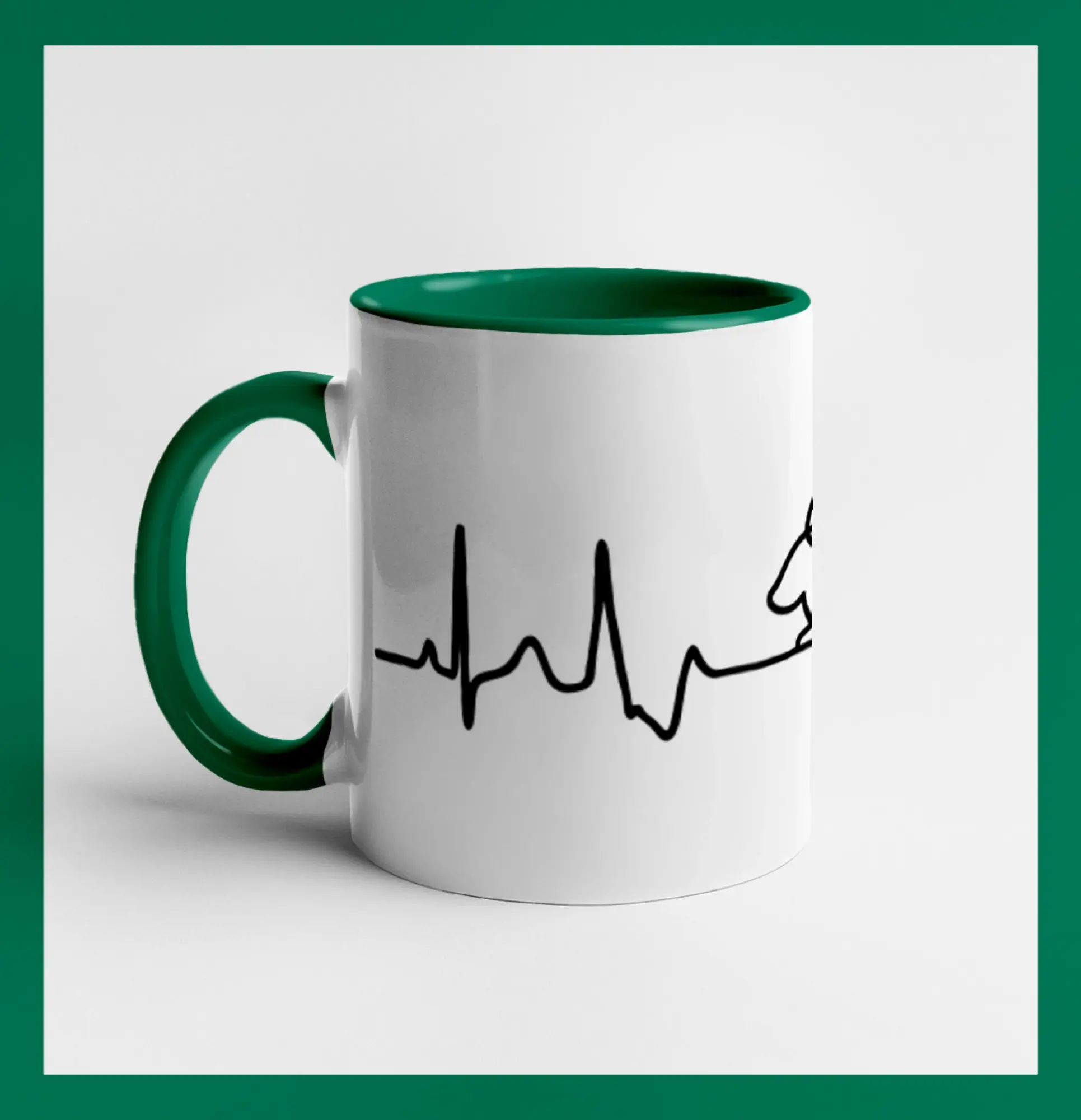 EKG králík