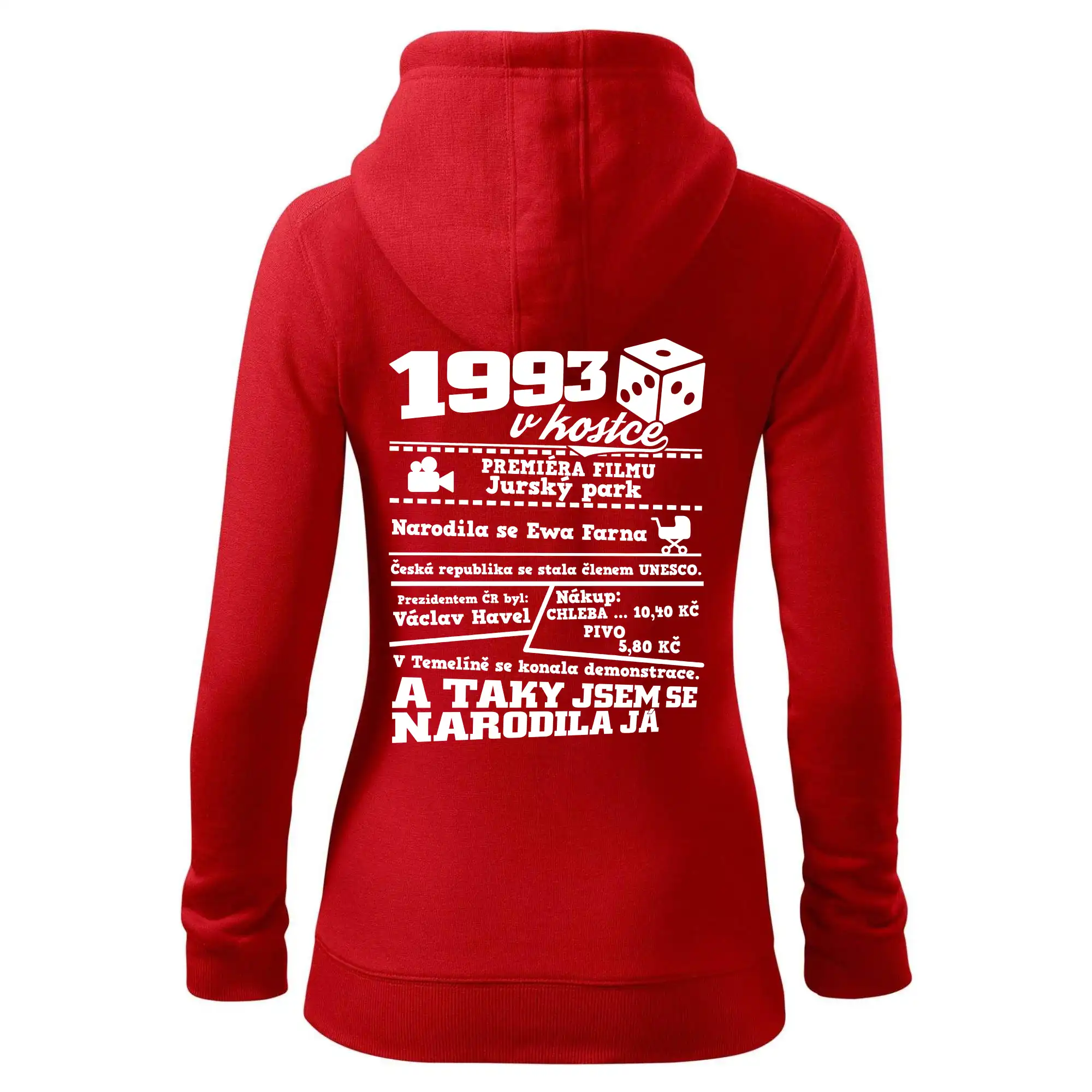 1993 v kostce