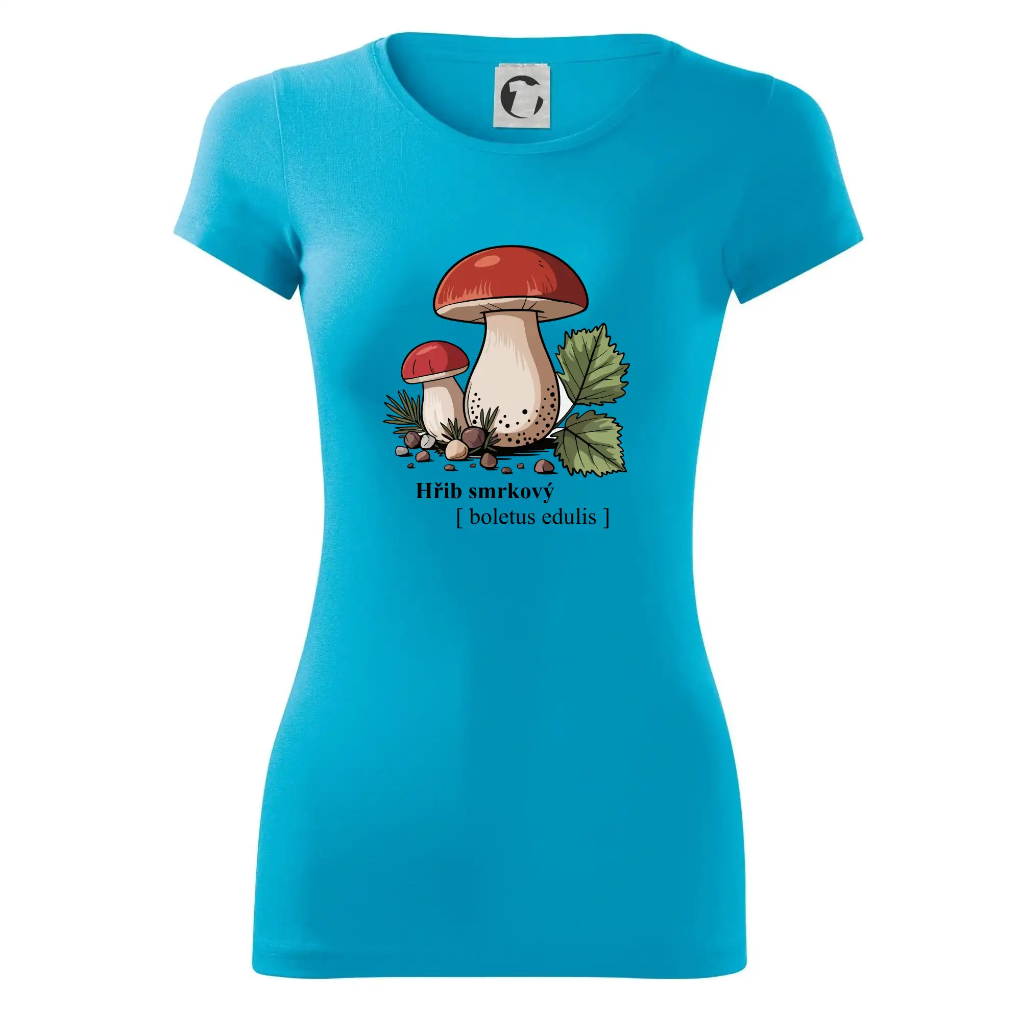 Hřib smrkový - Boletus edulis kreslený