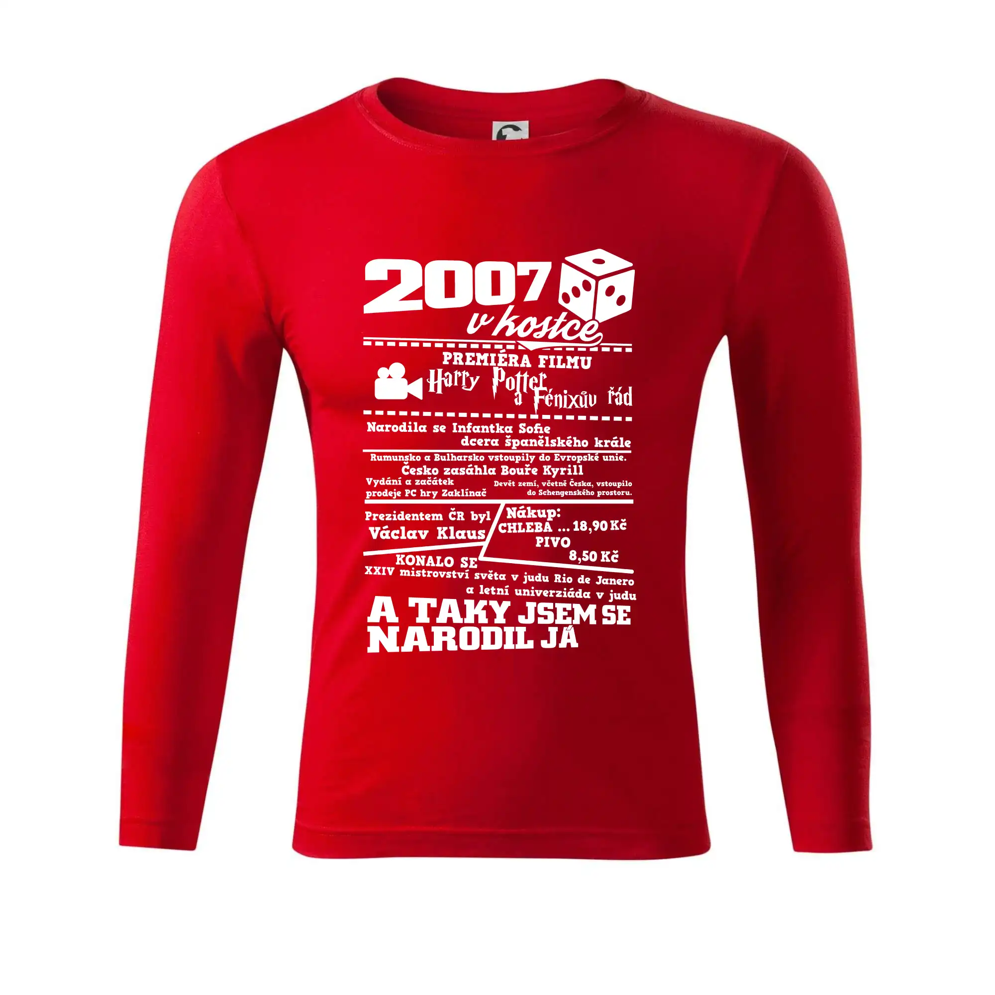 2007 v kostce