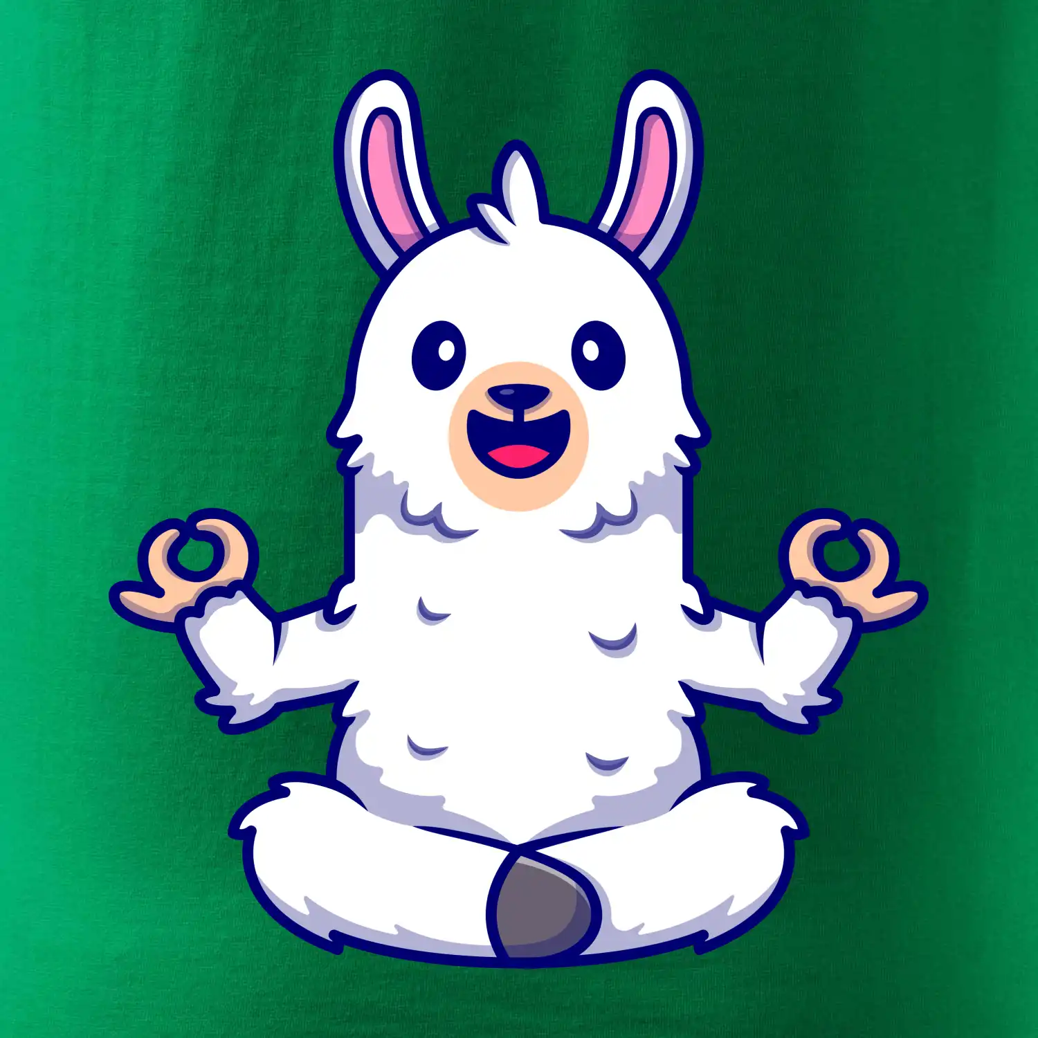 Yoga meditace - lama