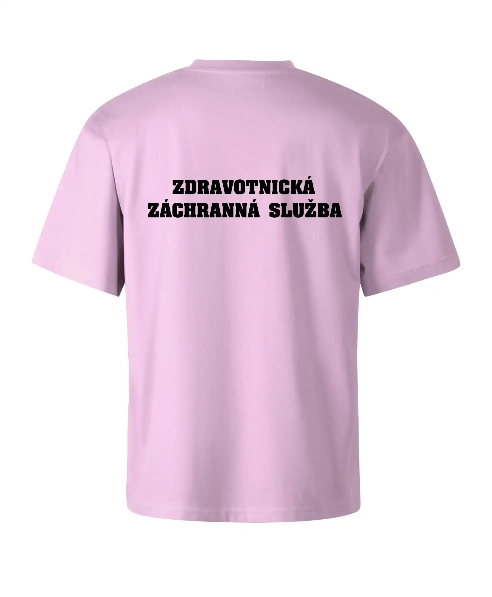 Hvězda života - zdravotnická záchranná služba
