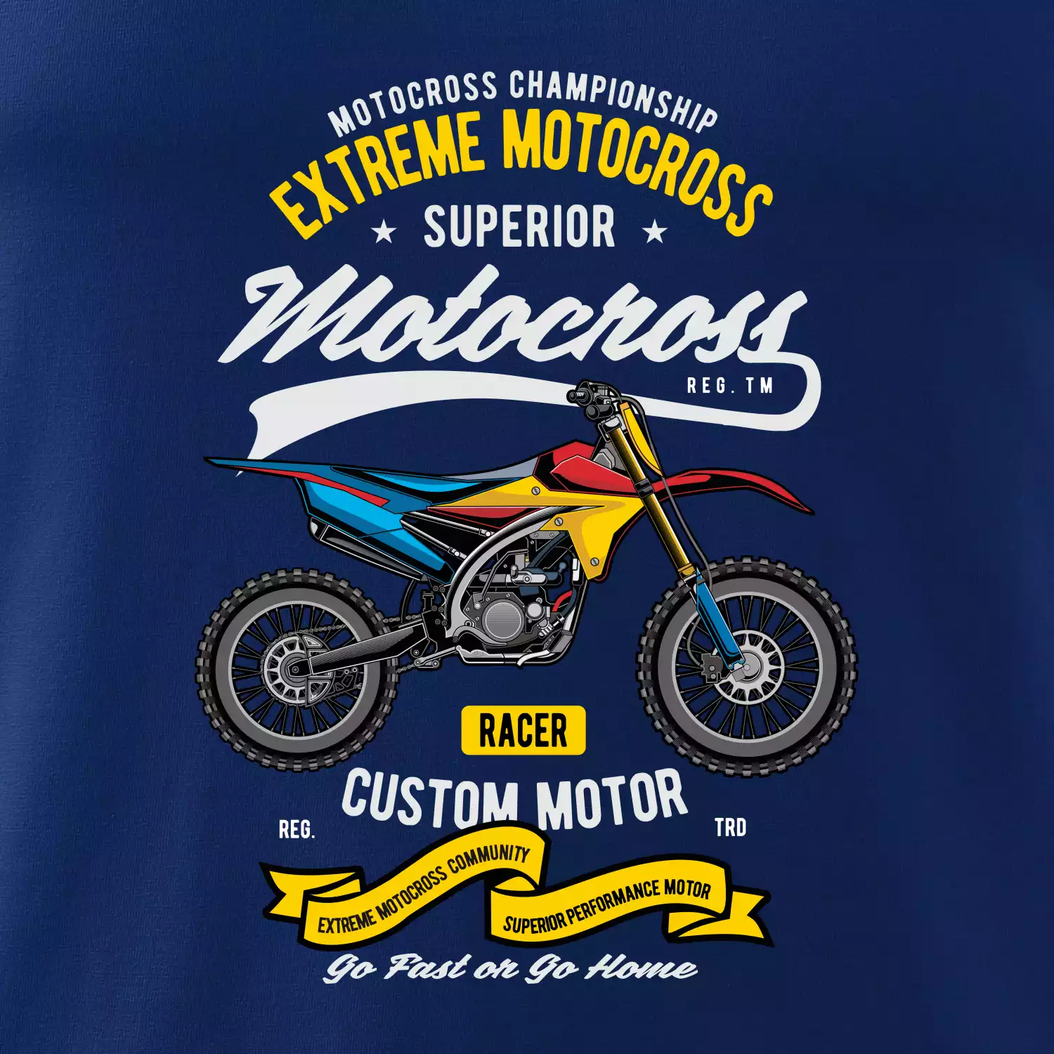 Motocross extreme custom motor
