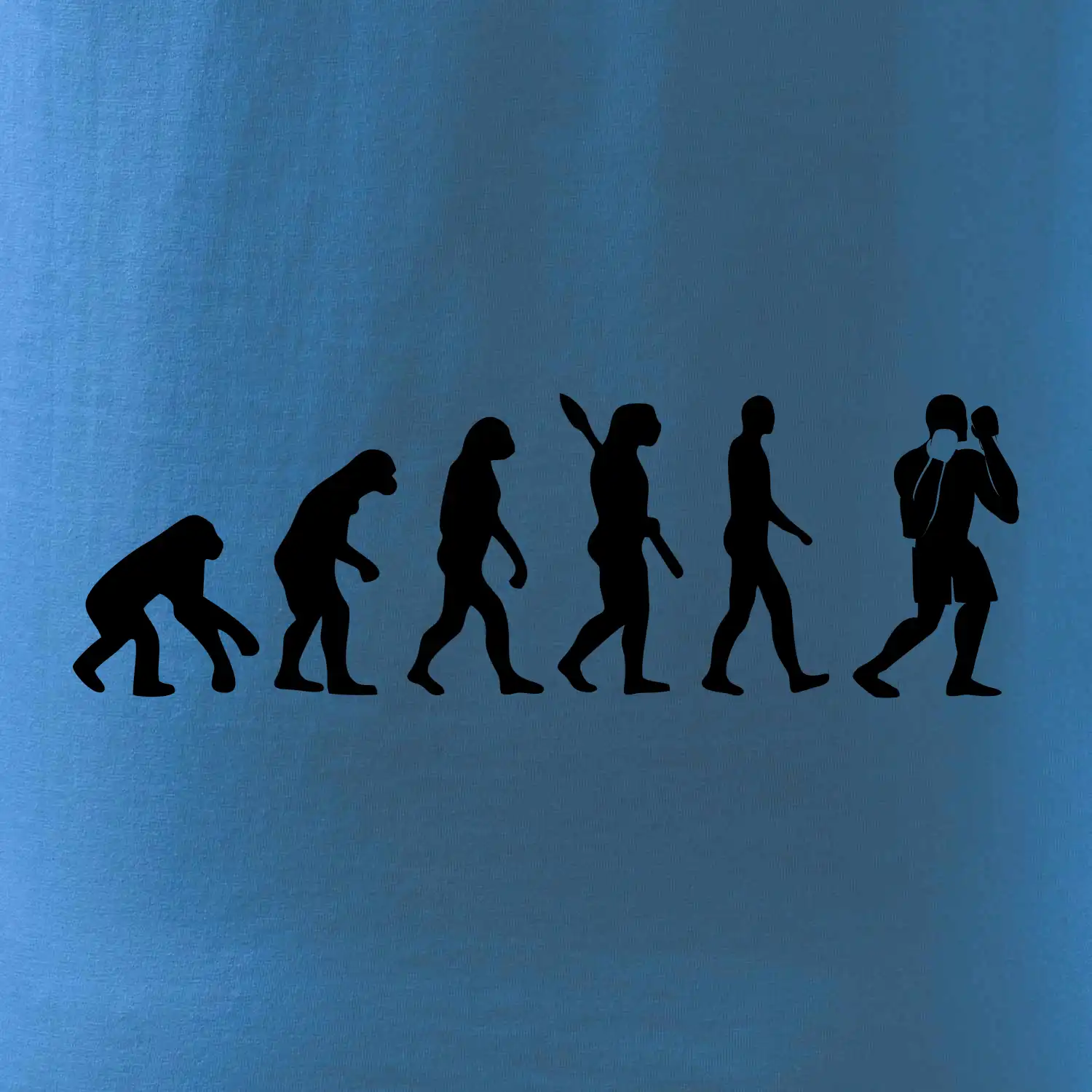 Evoluce box