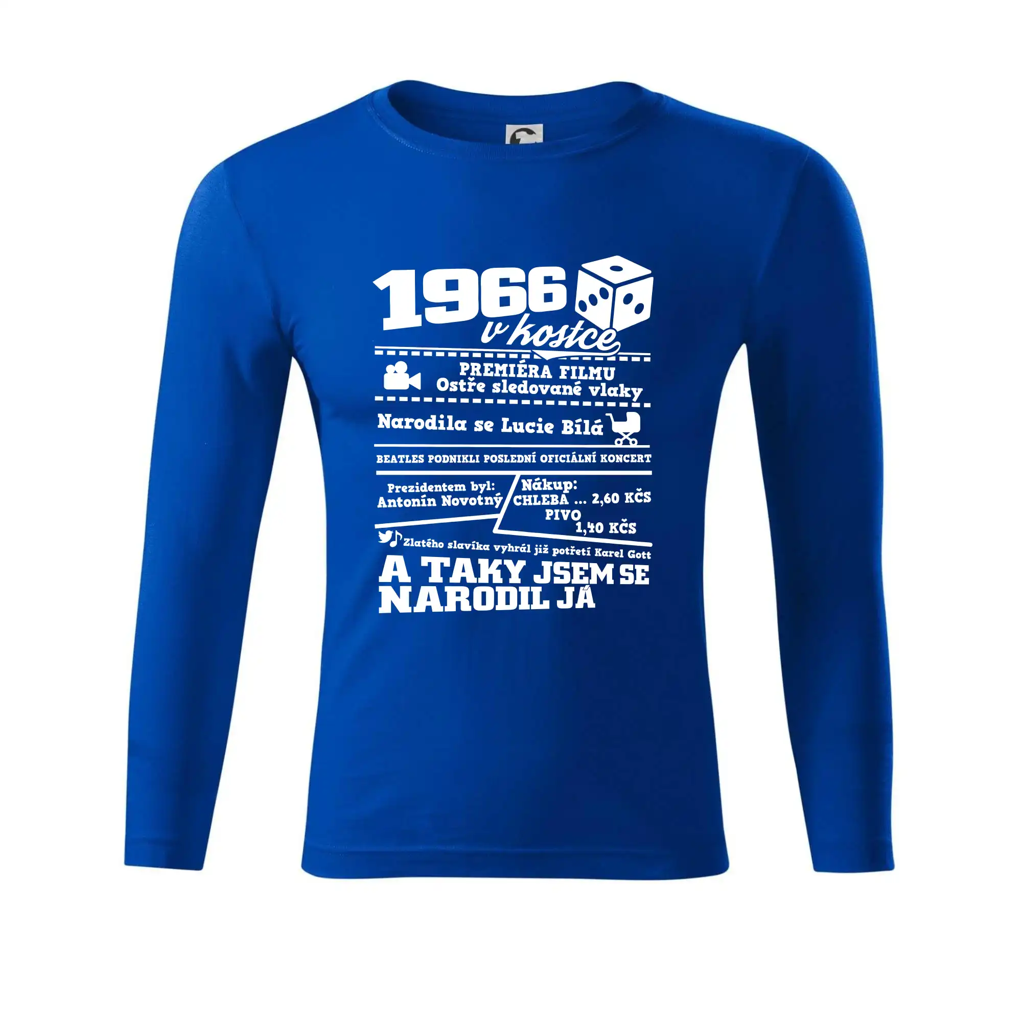 1966 v kostce