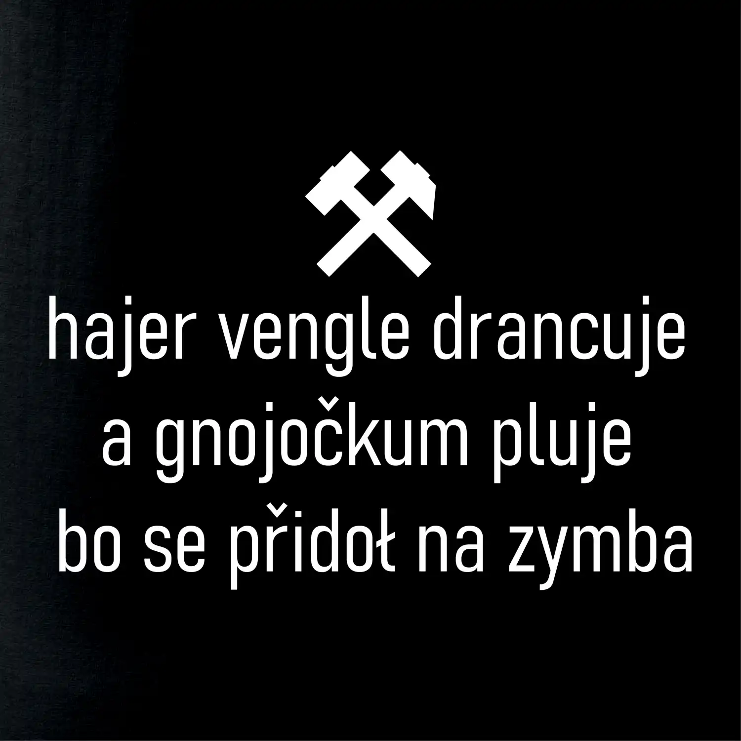 Hajer vengle drancuje a gnojočkum pluje bo se přidoł na zymba