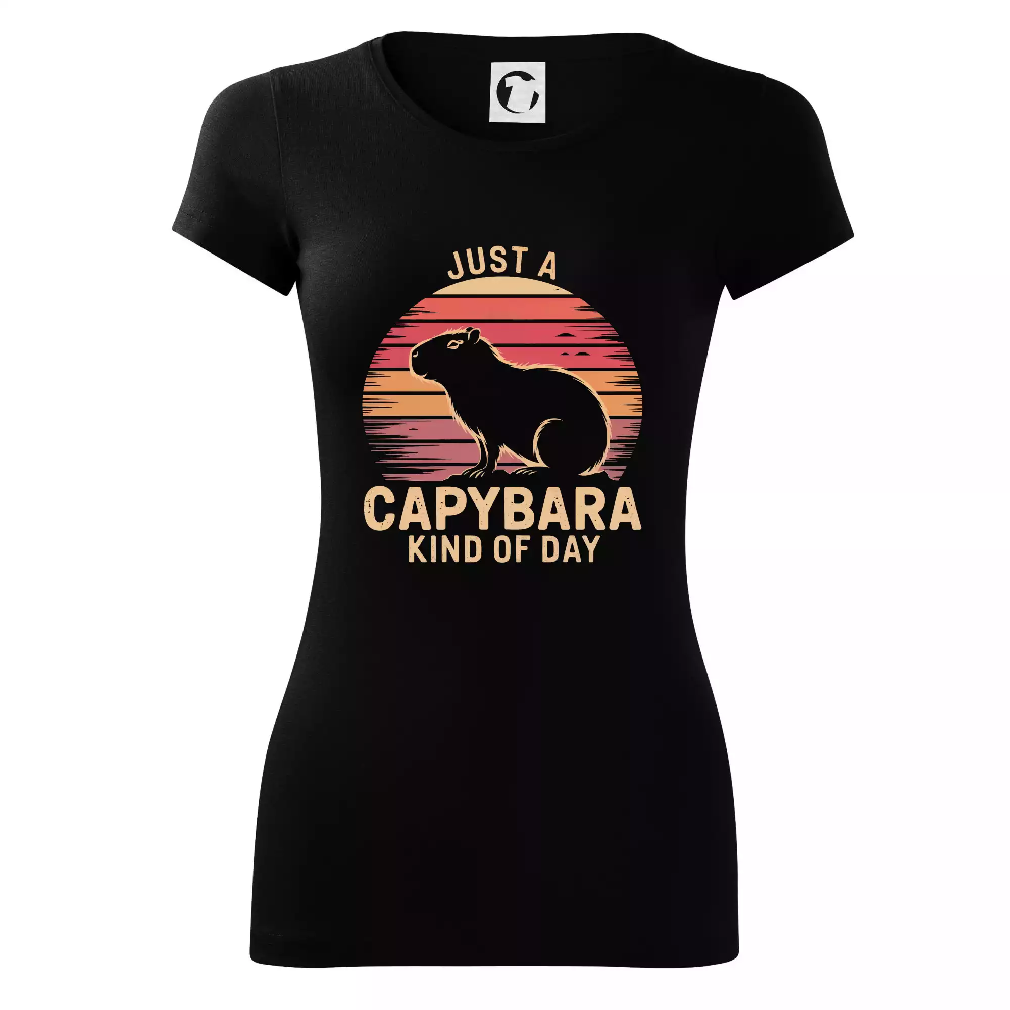 Just a Capybara Kind of Day