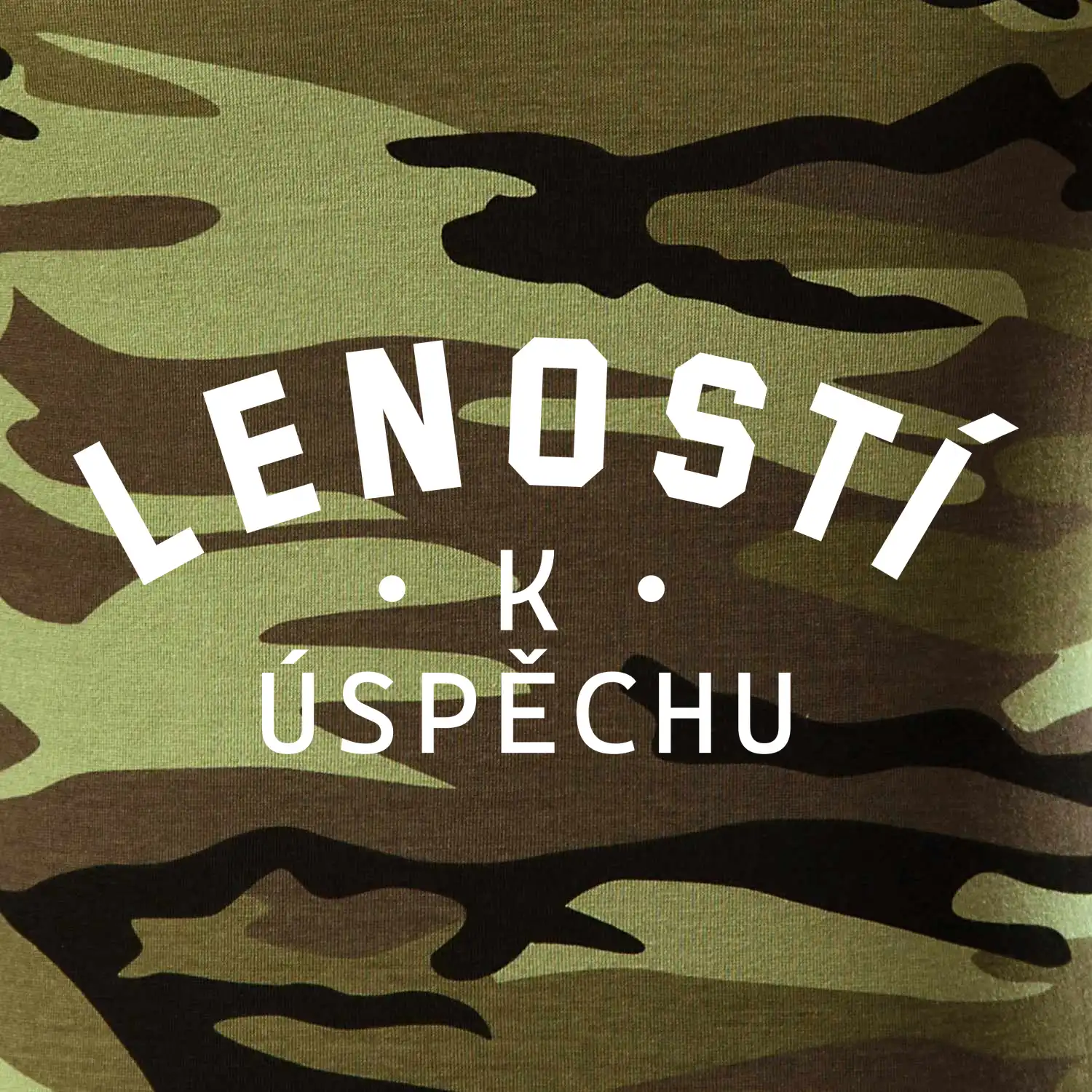 Leností k úspěchu - tiskací
