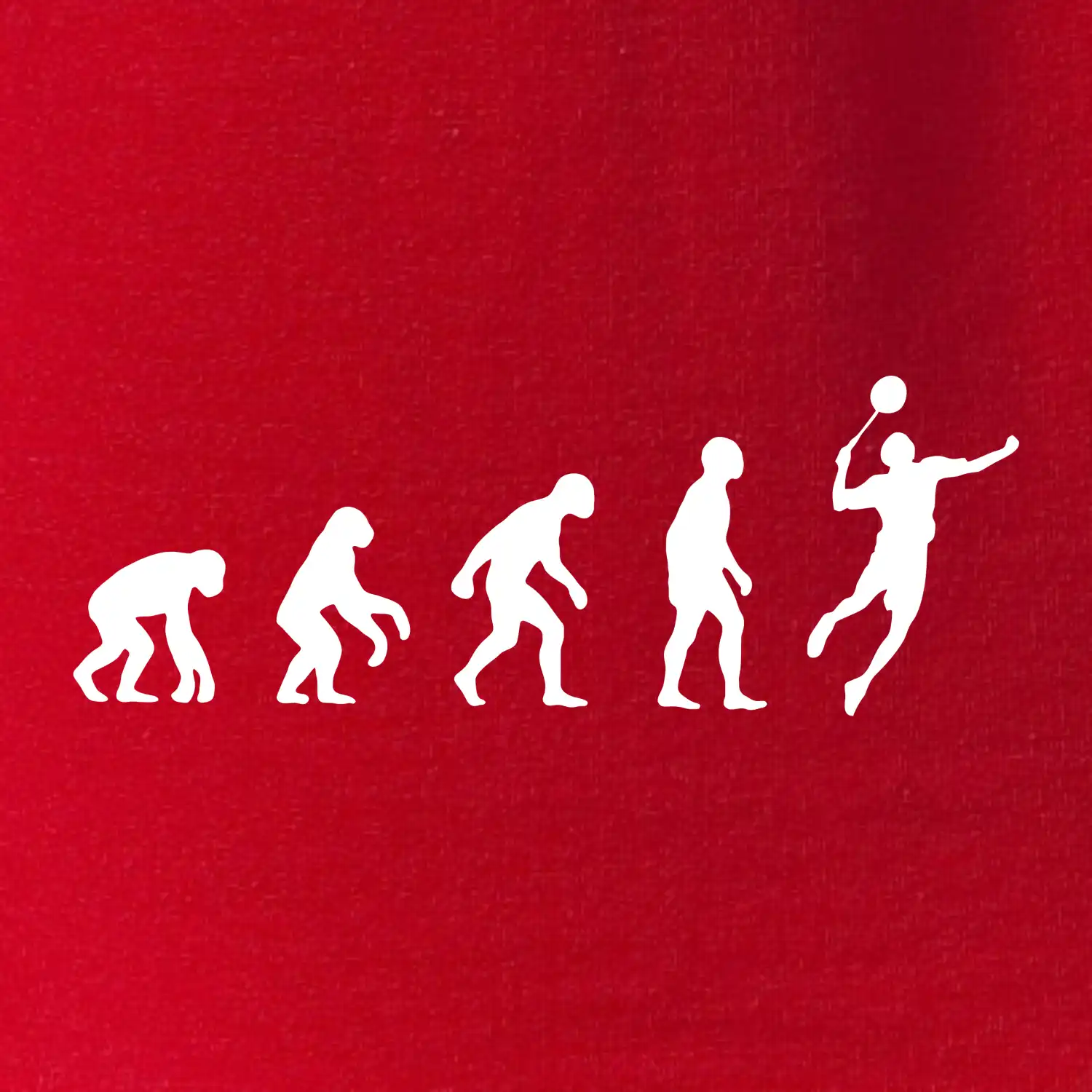 Evoluce Badminton