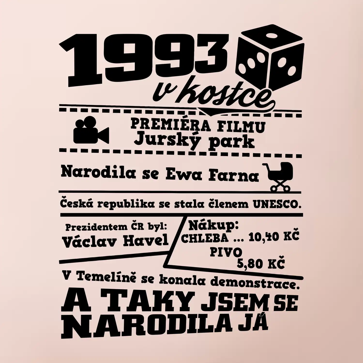 1993 v kostce