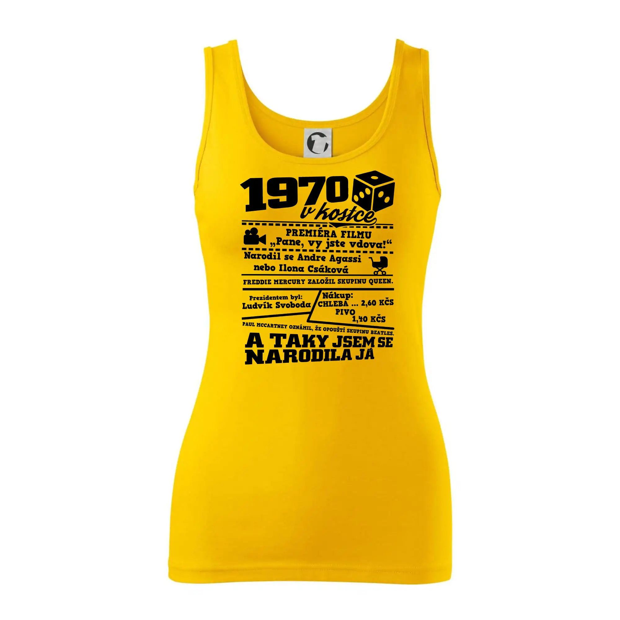 1970 v kostce