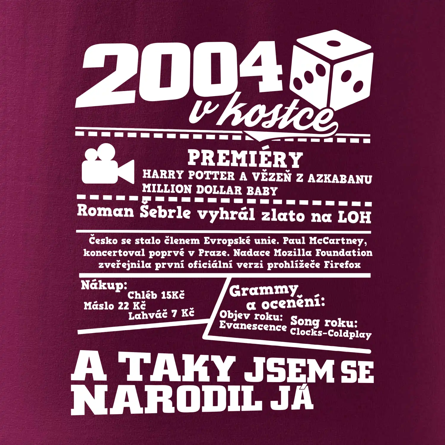 2004 v kostce