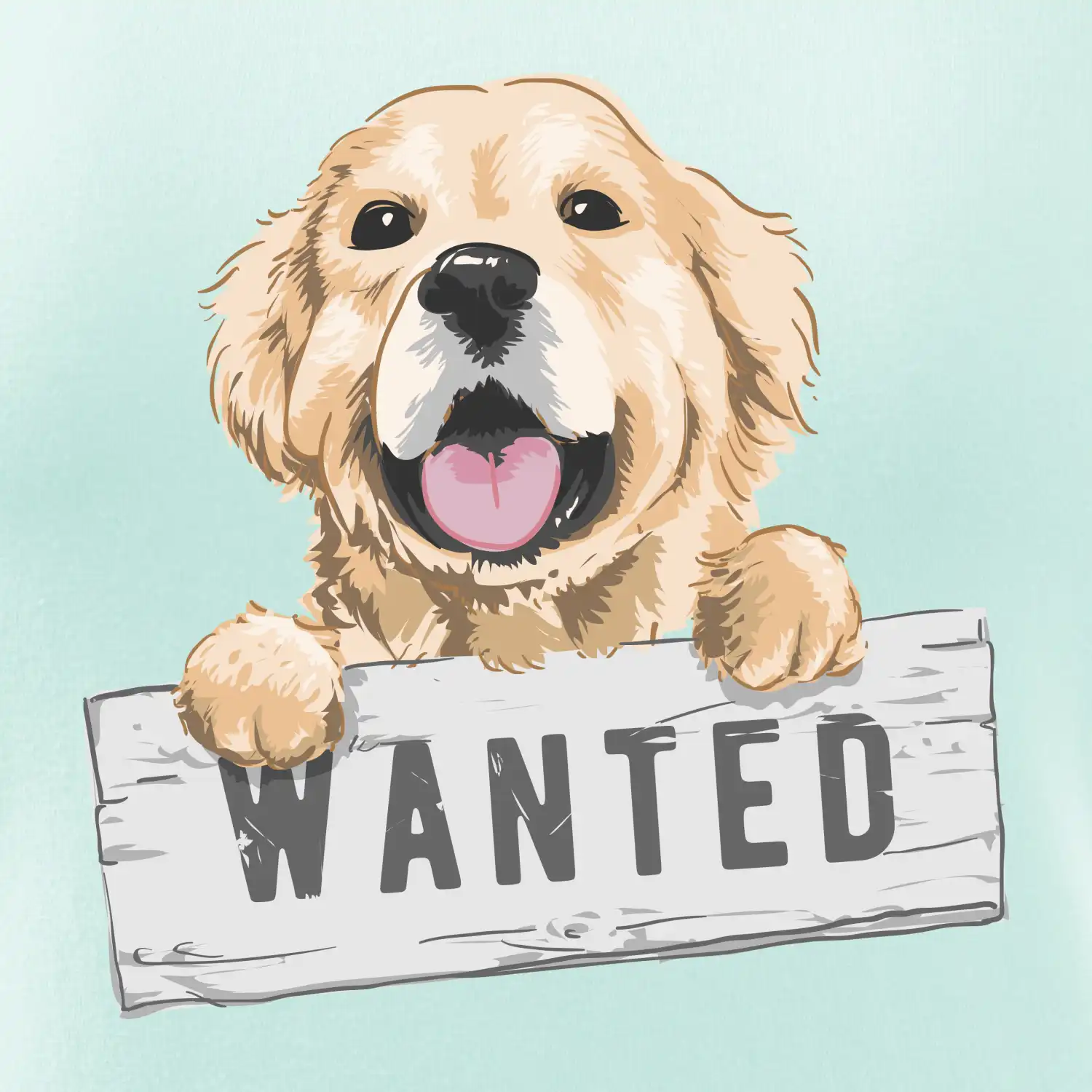 Zlatý retriever - štěně wanted
