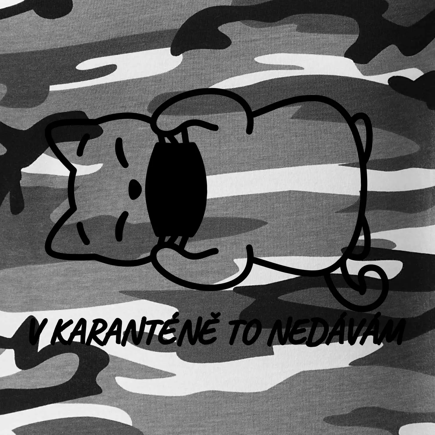 V karanténě to nedávám