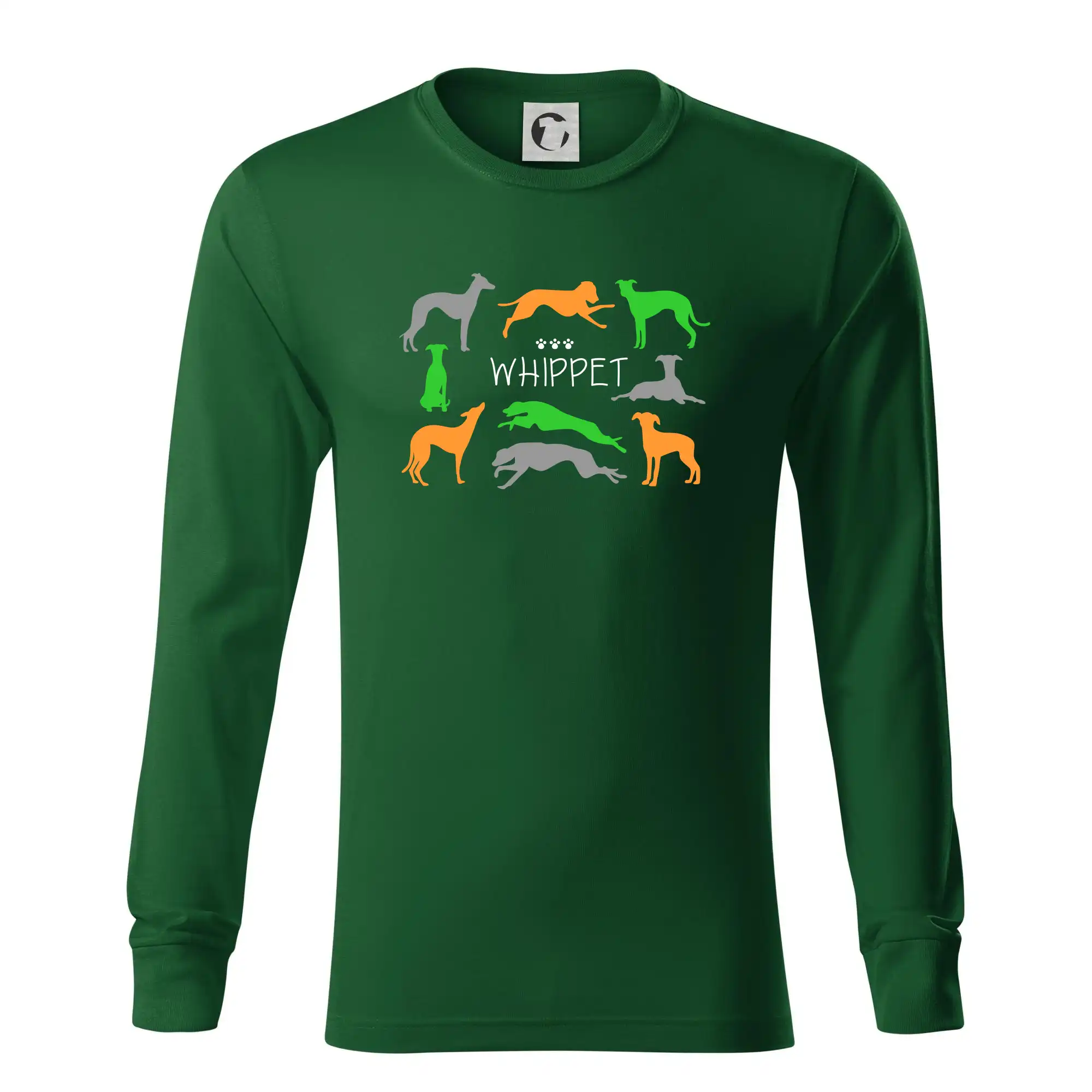 Whippet barevný