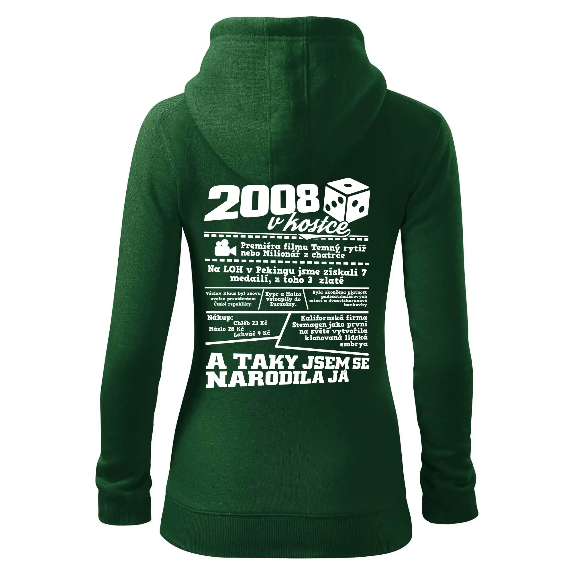 2008 v kostce