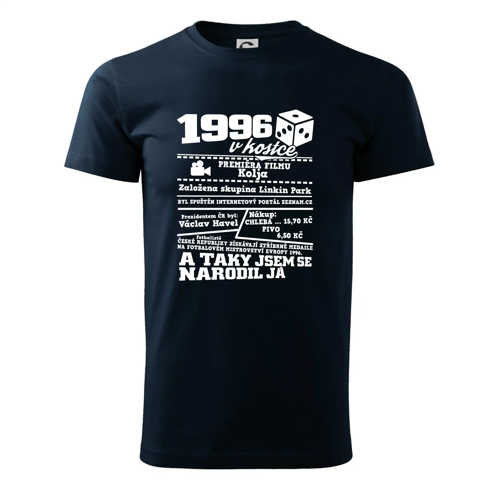 1996 v kostce