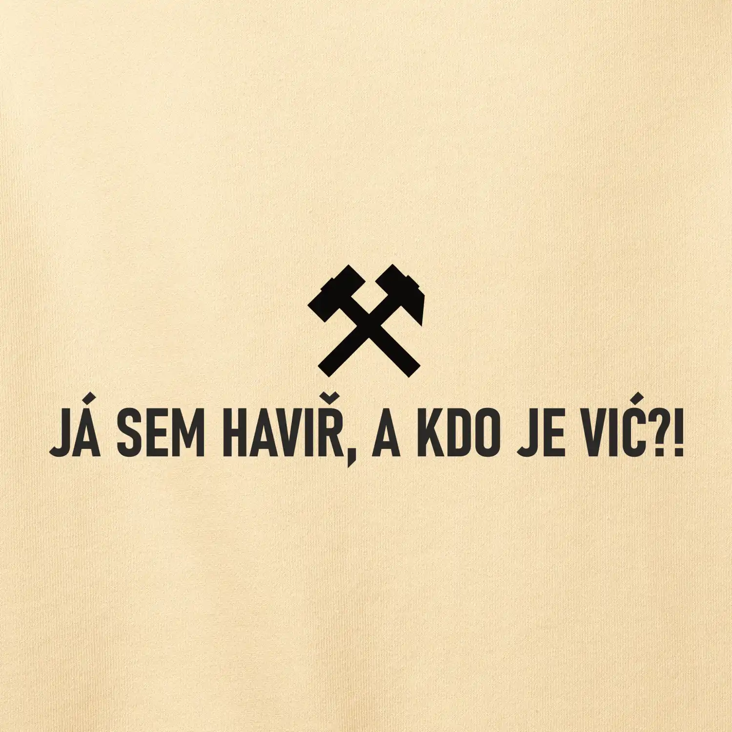 JÁ SEM HAVIŘ, A KDO JE VIĆ?!﻿