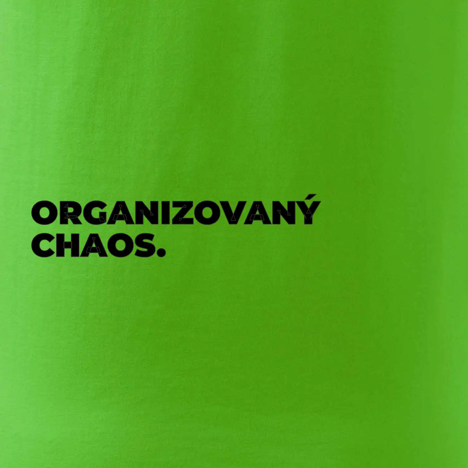 ORGANIZOVANÝ CHAOS.