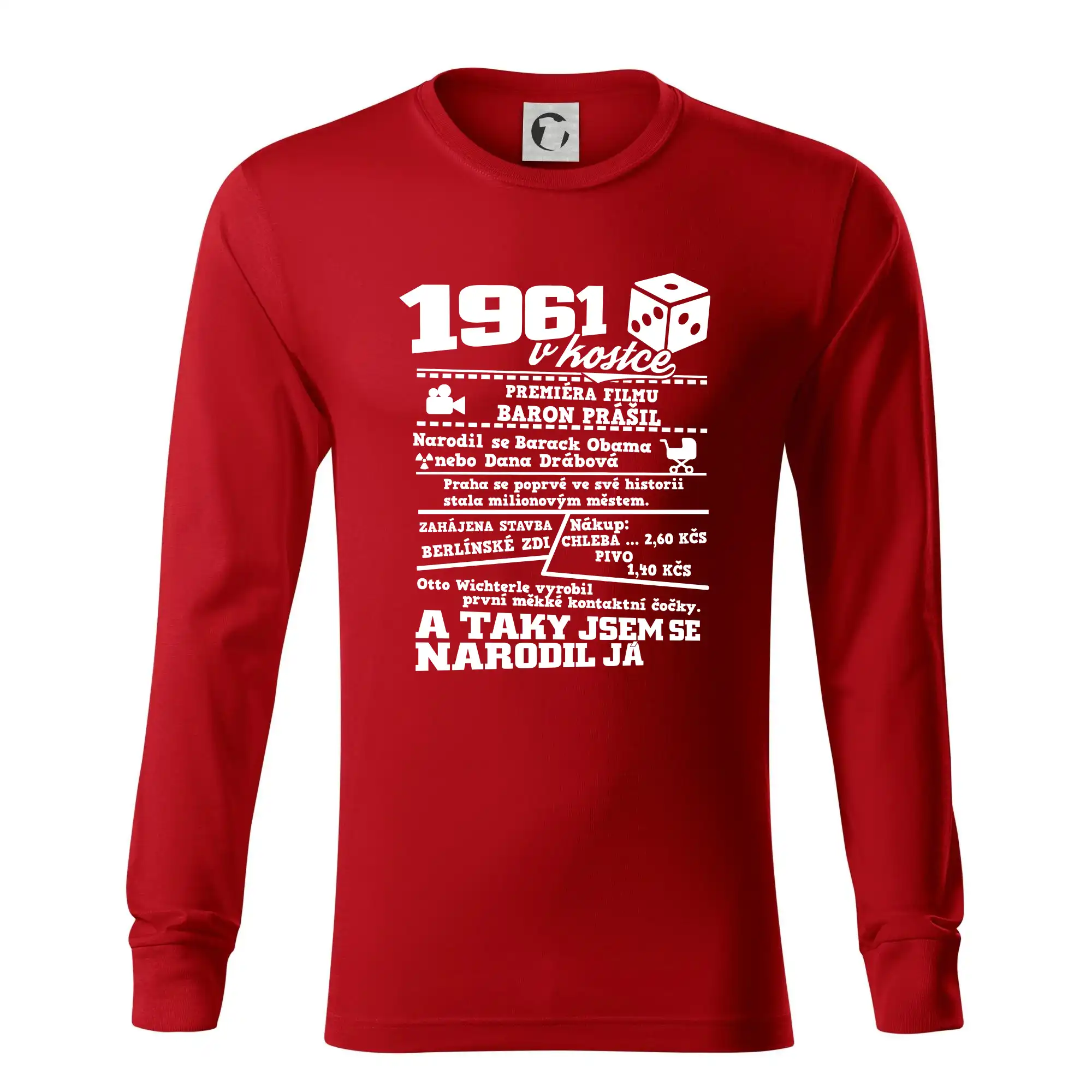 1961 v kostce