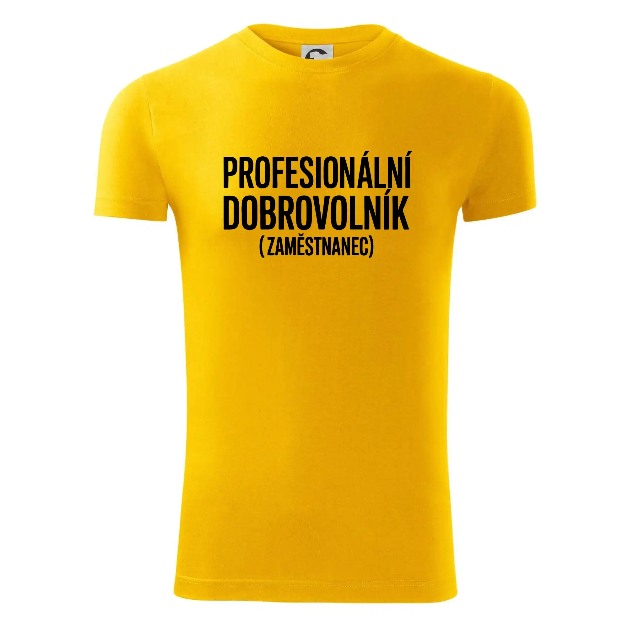 PROFESIONÁLNÍ DOBROVOLNÍK (zaměstnanec)