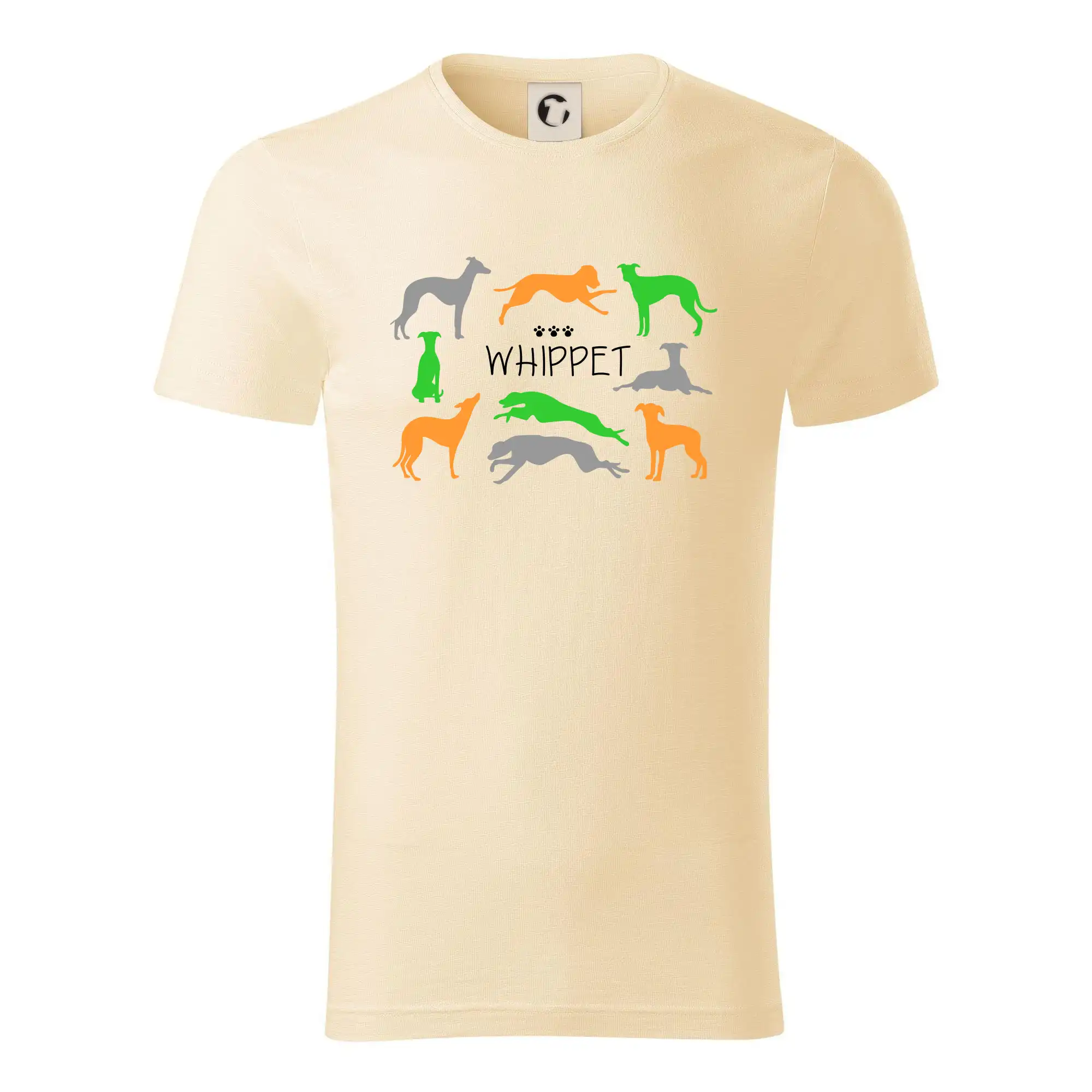 Whippet barevný