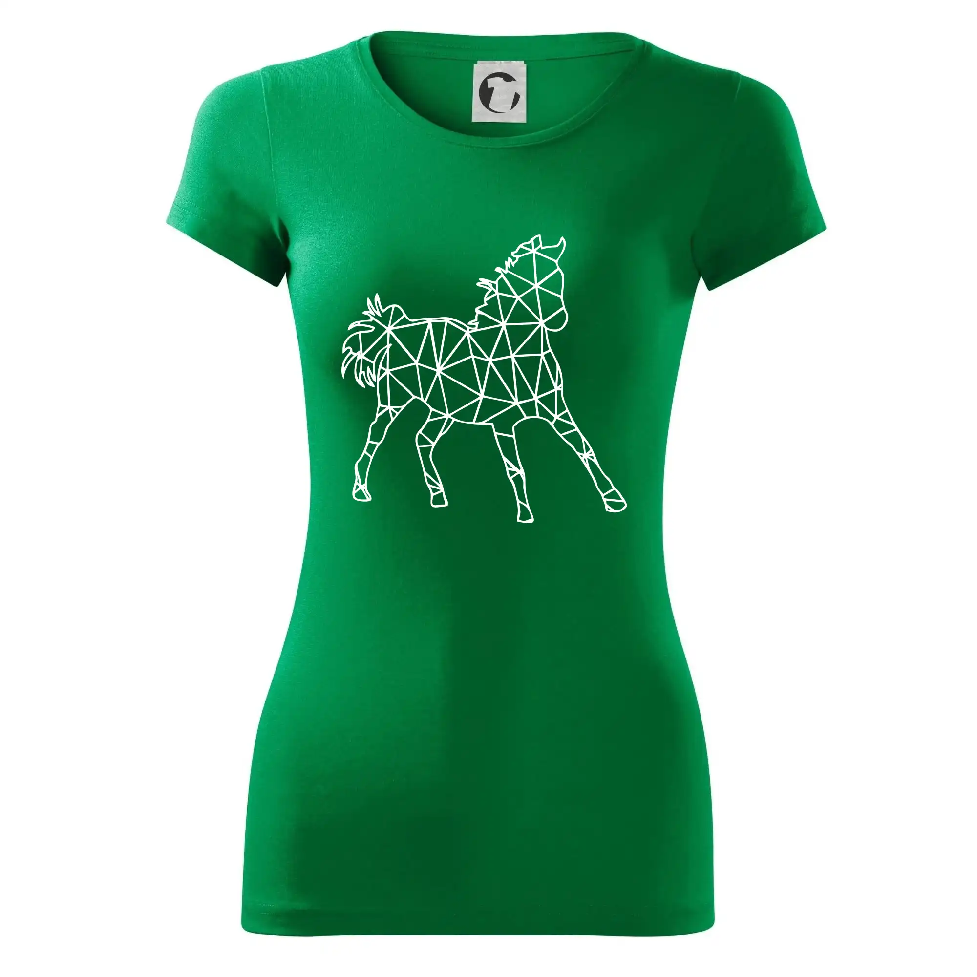 Geometrie - kůň jednobarevná