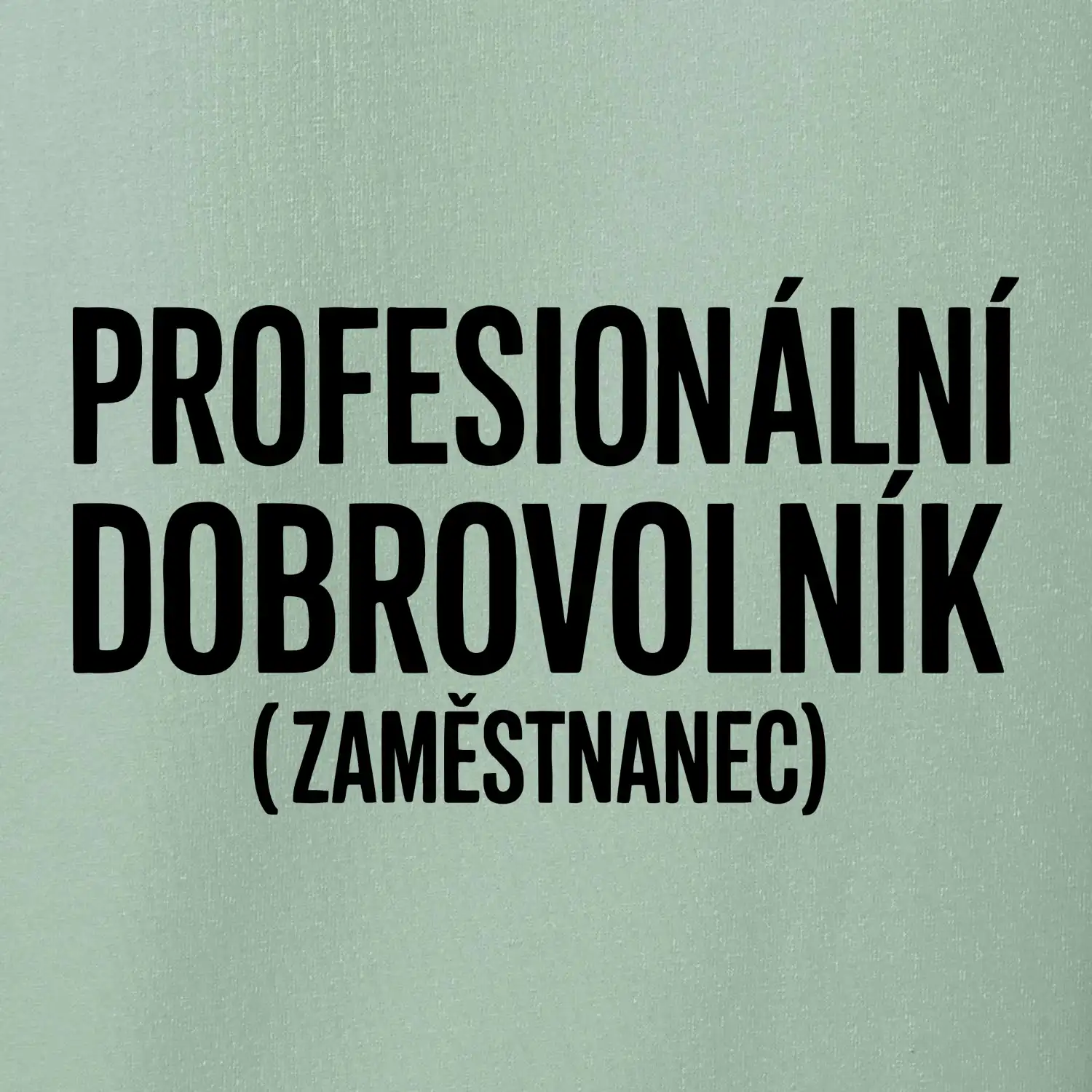 PROFESIONÁLNÍ DOBROVOLNÍK (zaměstnanec)