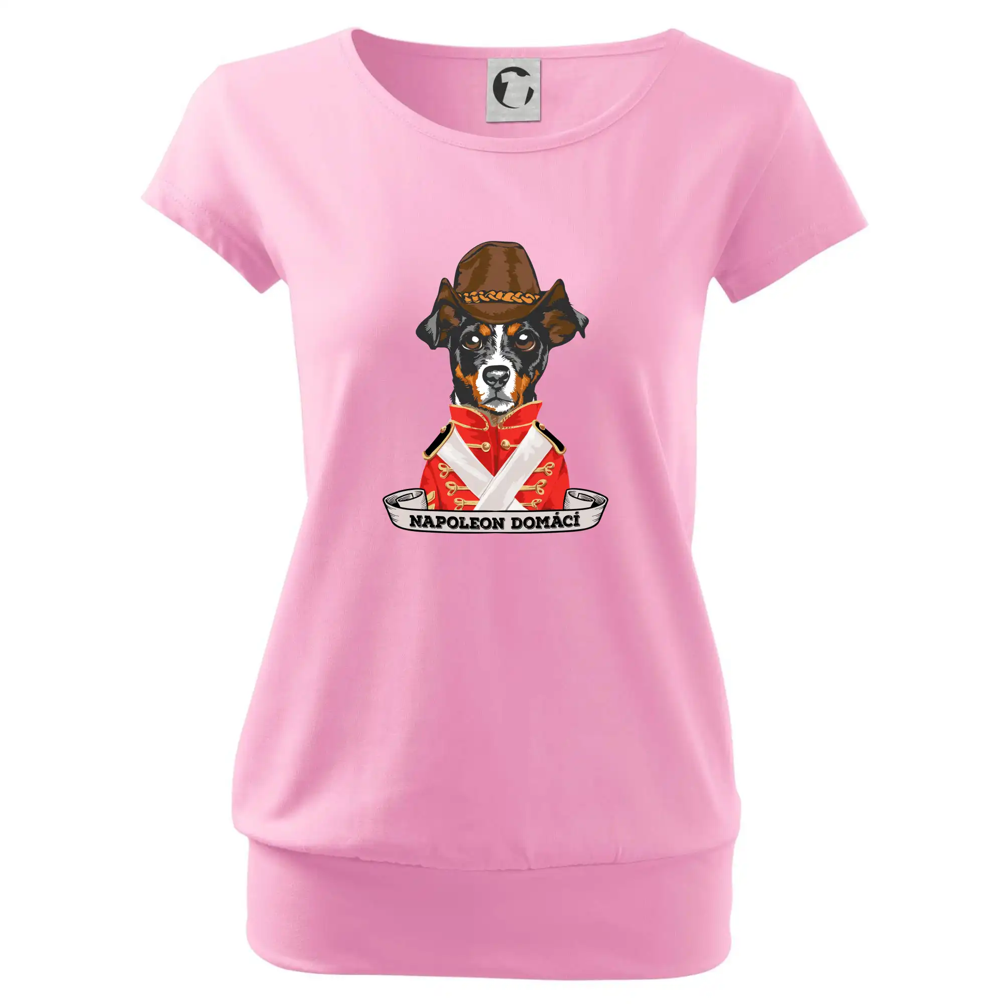 Napoleon domácí pes kříženec