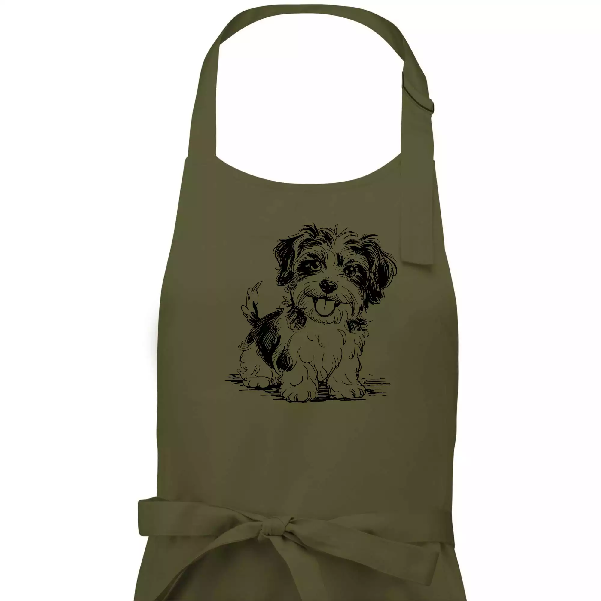 Havanský psík skica