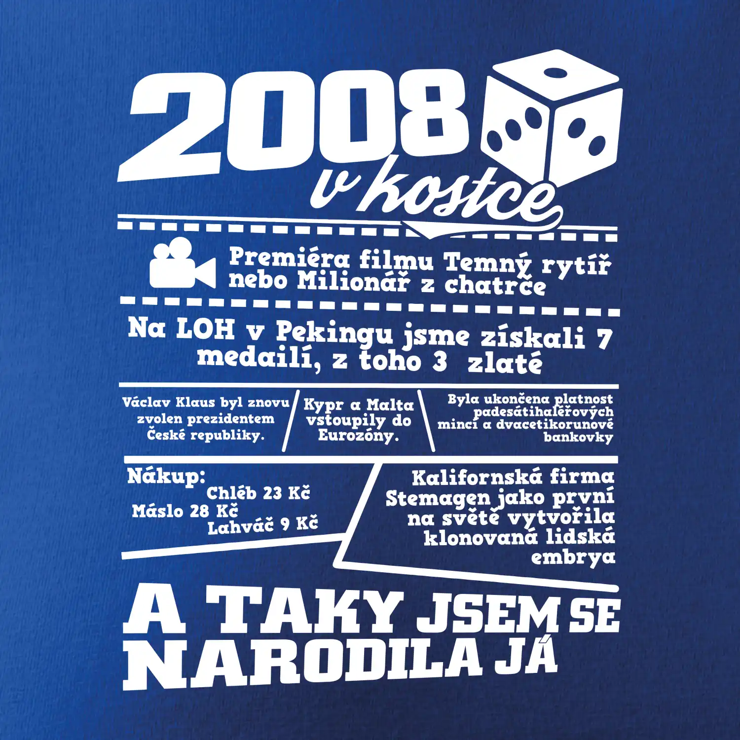 2008 v kostce