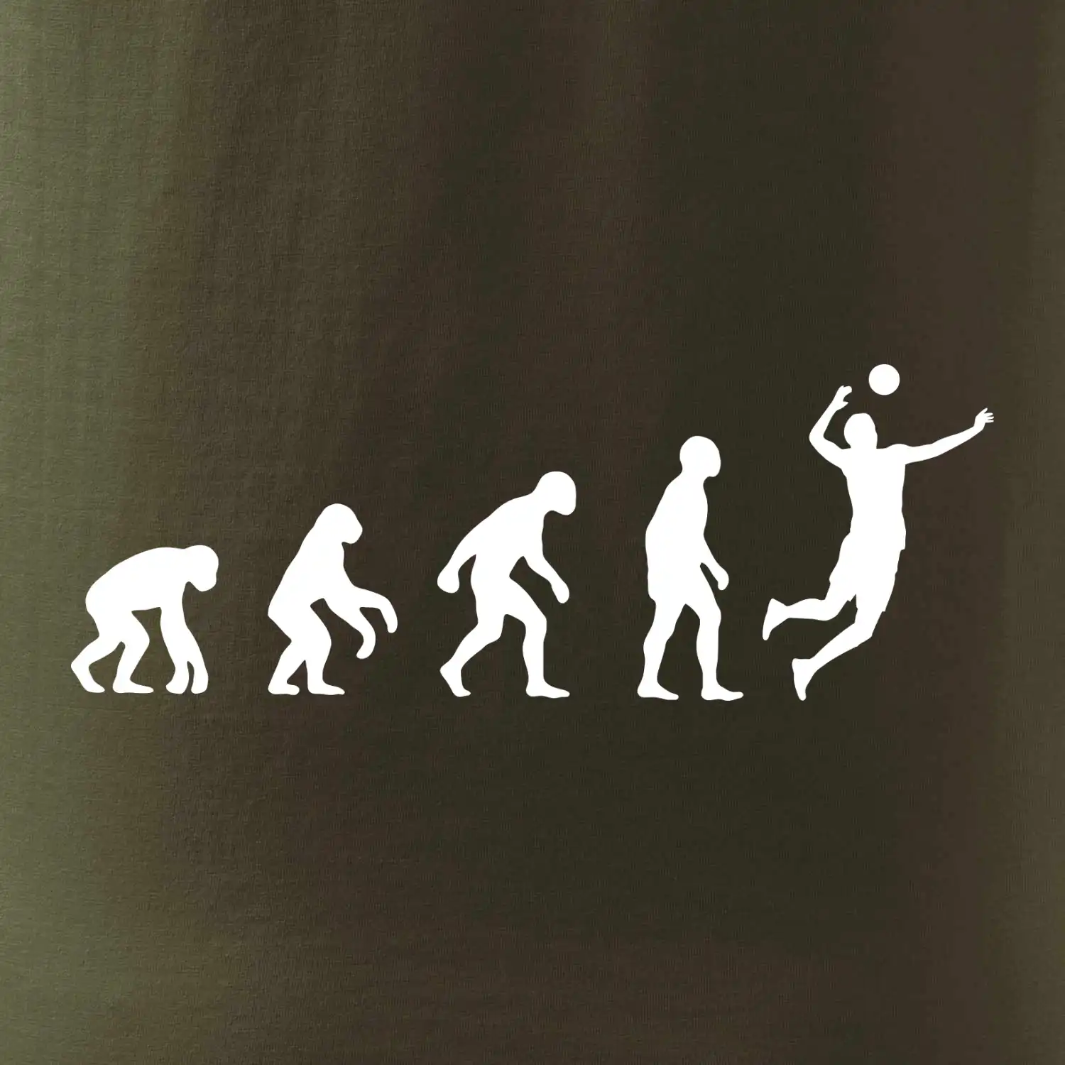 Evoluce volejbal smeč