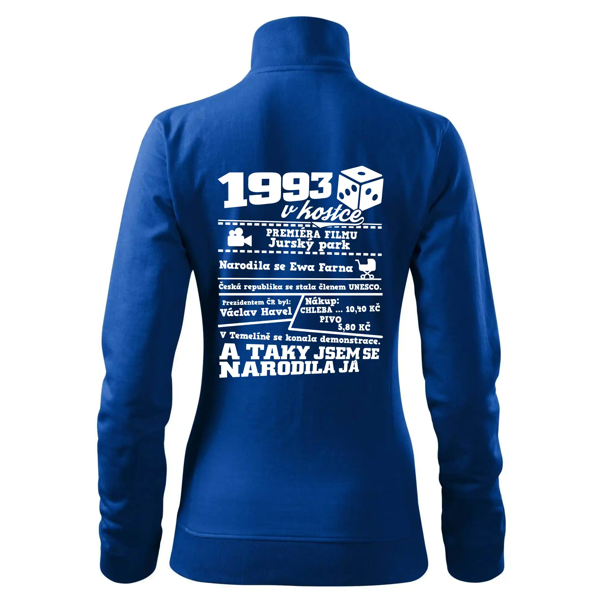 1993 v kostce