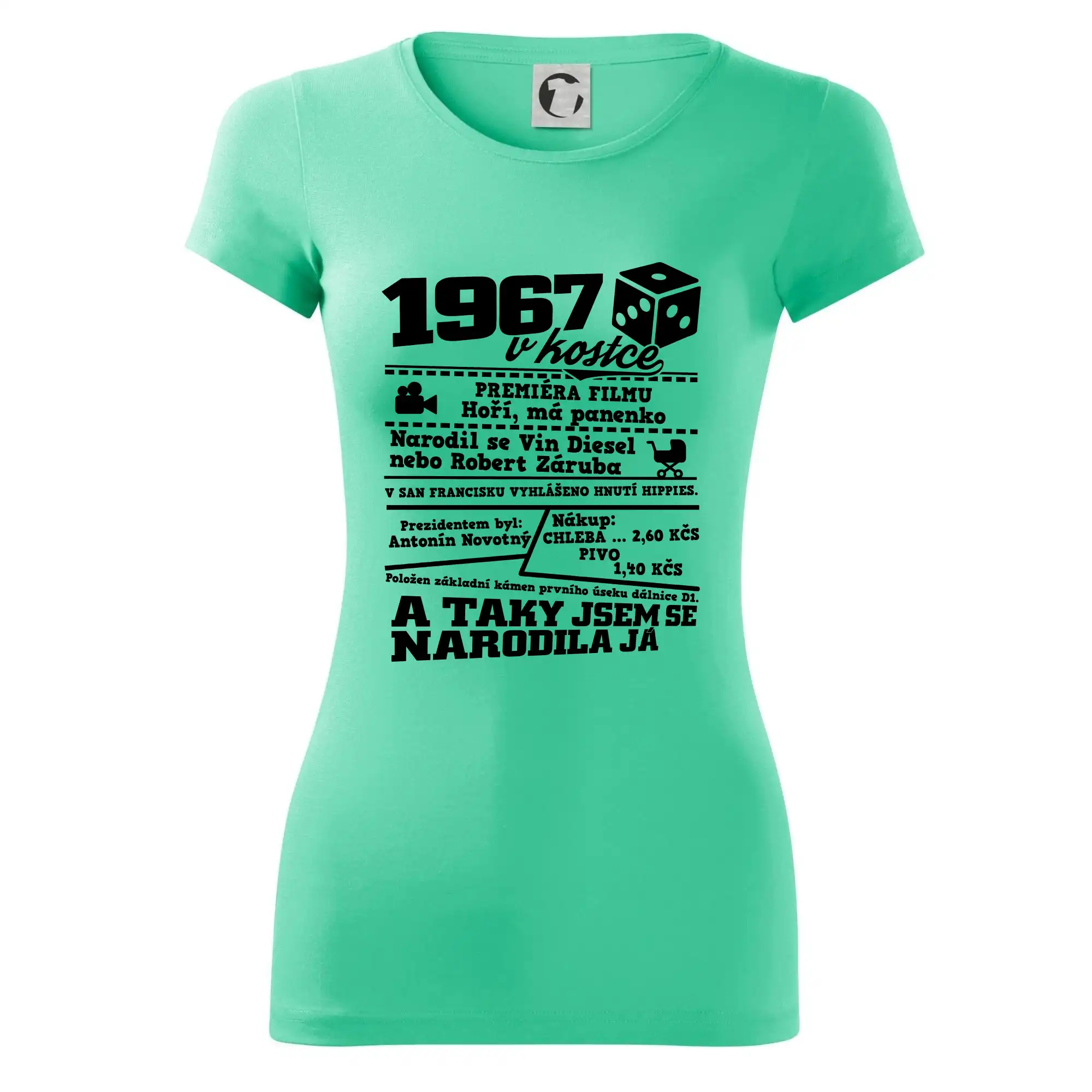 1967 v kostce
