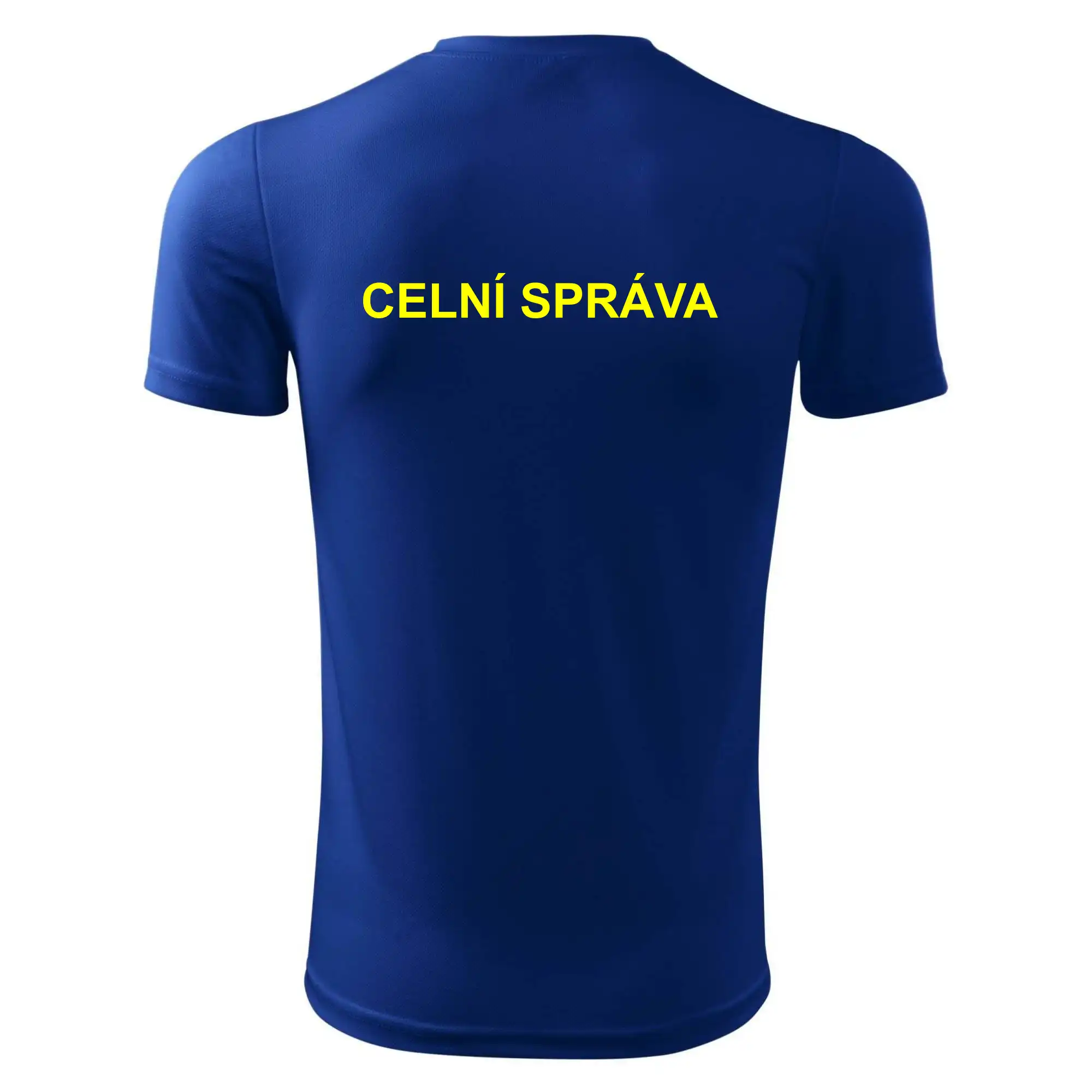 Celní správa